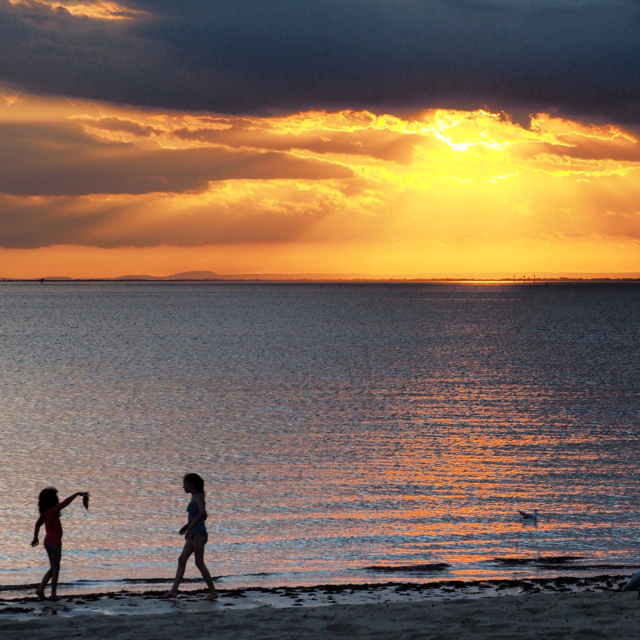 Olympus OM-D E-M5 II sample photo. Last days of summer photography
