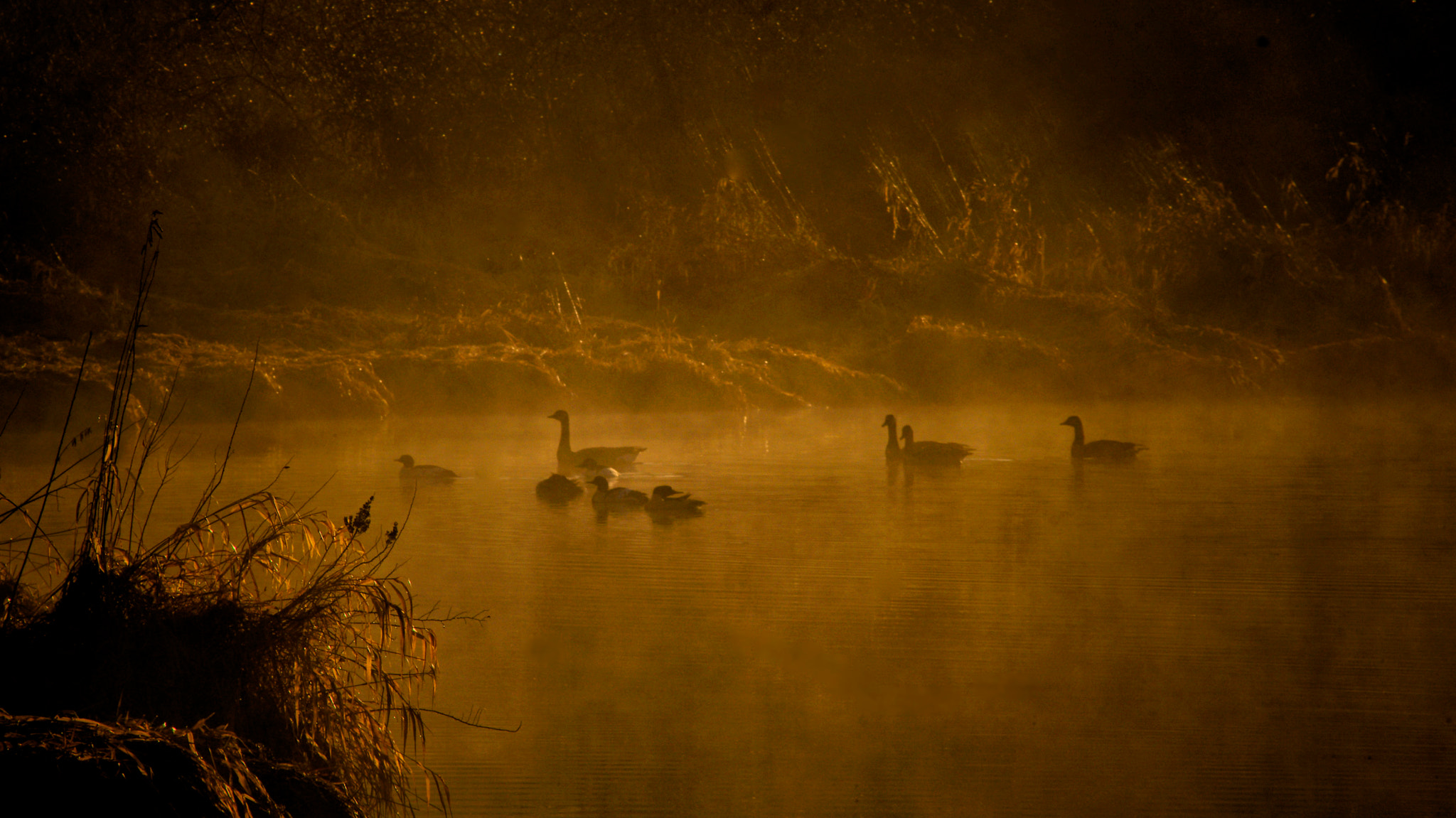 Pentax K-5 sample photo. River mist photography