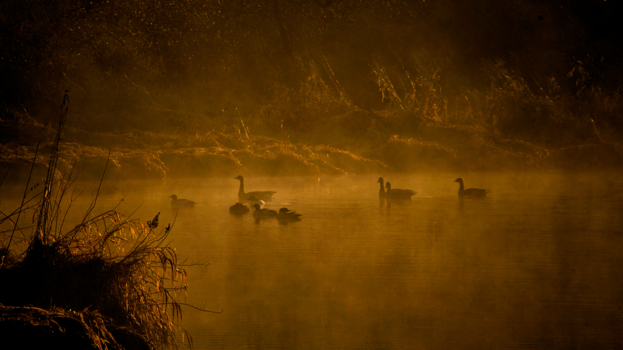 Pentax K-5 + Pentax smc DA 55-300mm F4.0-5.8 ED sample photo. River mist photography