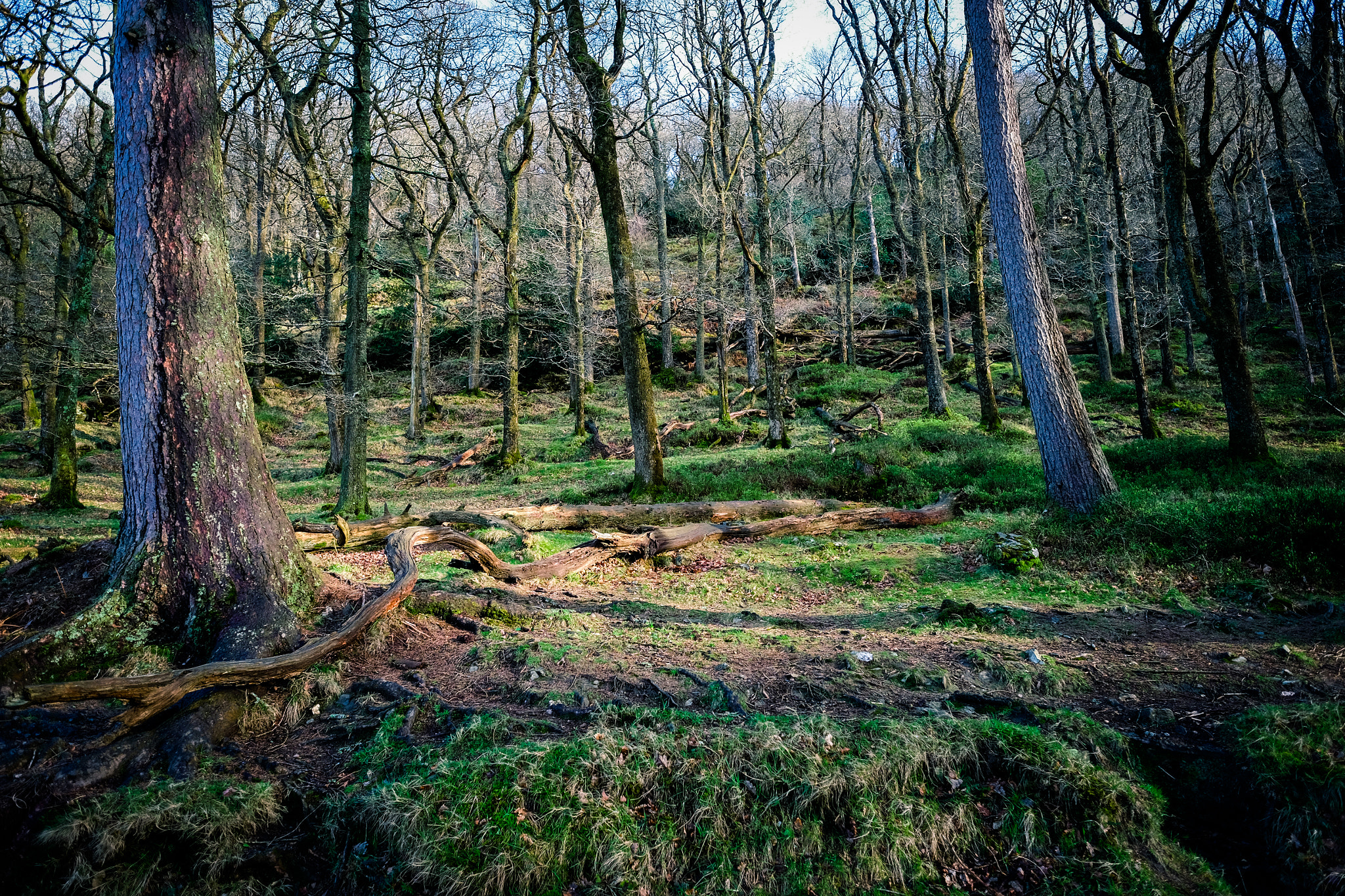 Fujifilm X-T1 sample photo. Glendalough, ireland photography