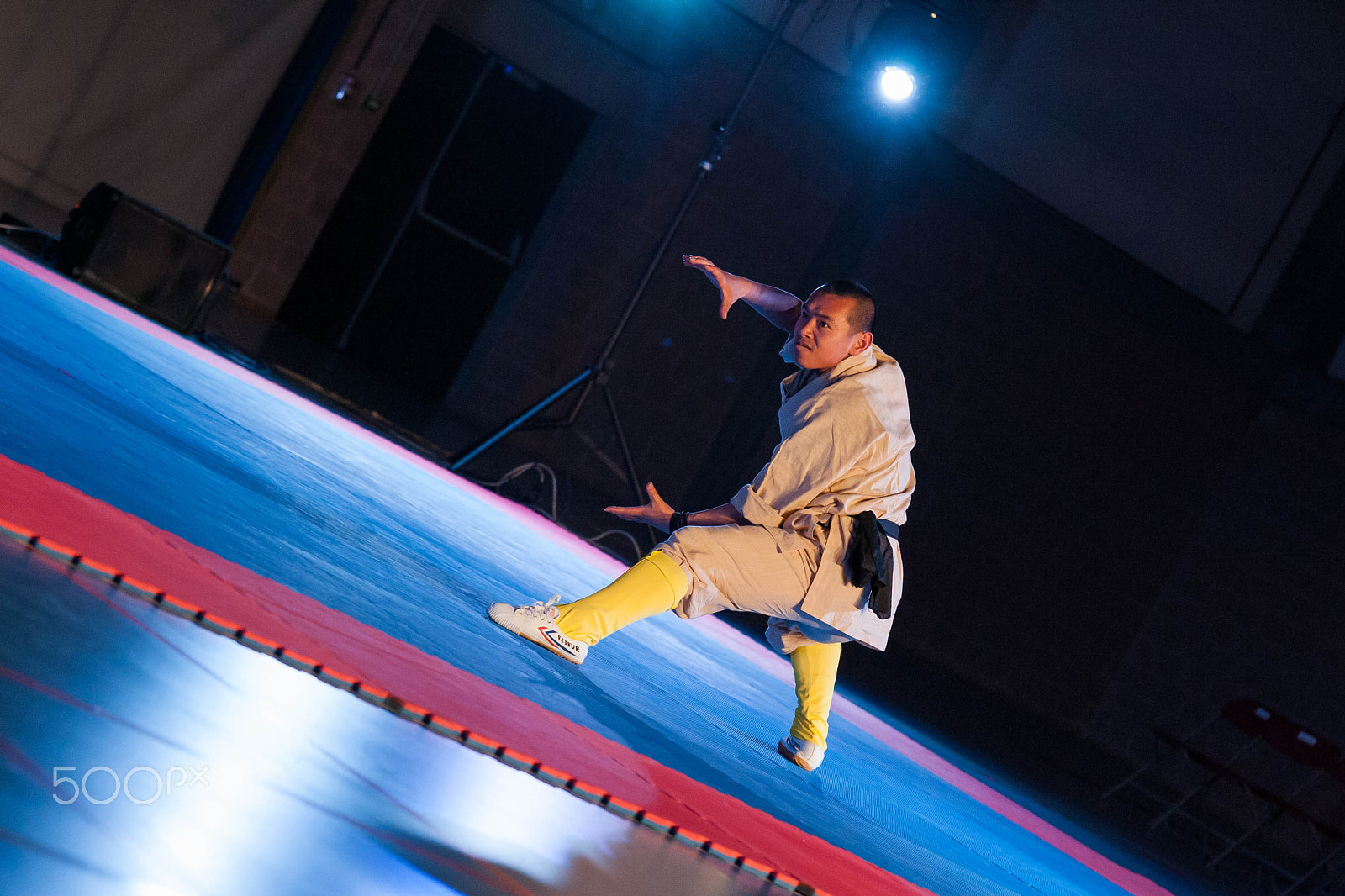 Nikon D700 sample photo. True shaolin photography