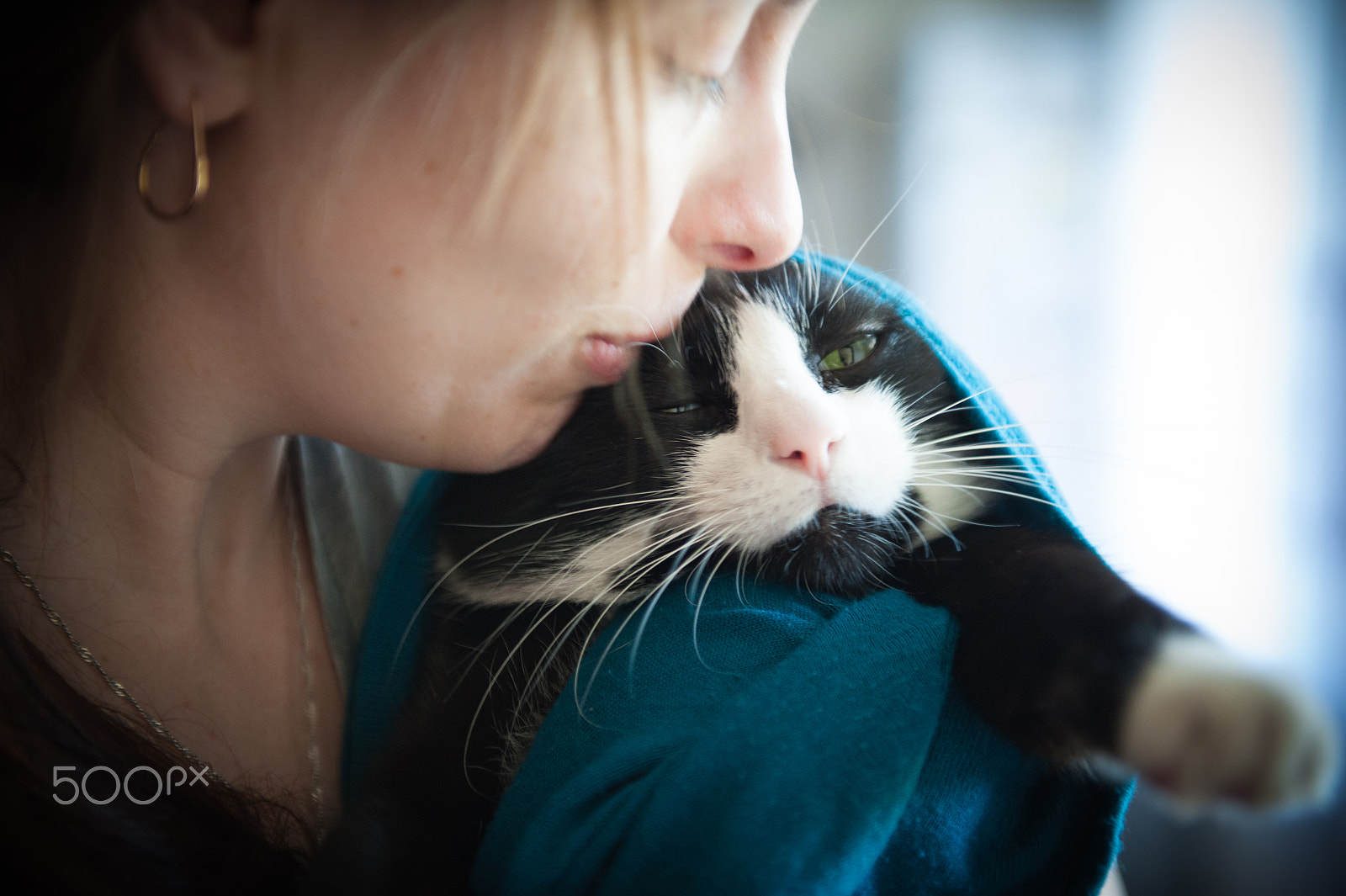 Nikon D700 sample photo. Moments of love between cat and his owner. concept about pets and animals photography