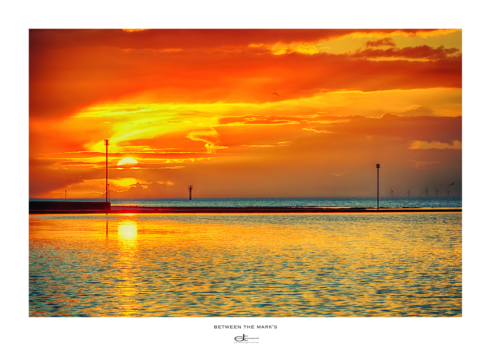 Canon EOS 5DS R sample photo. Between the mark's  photography