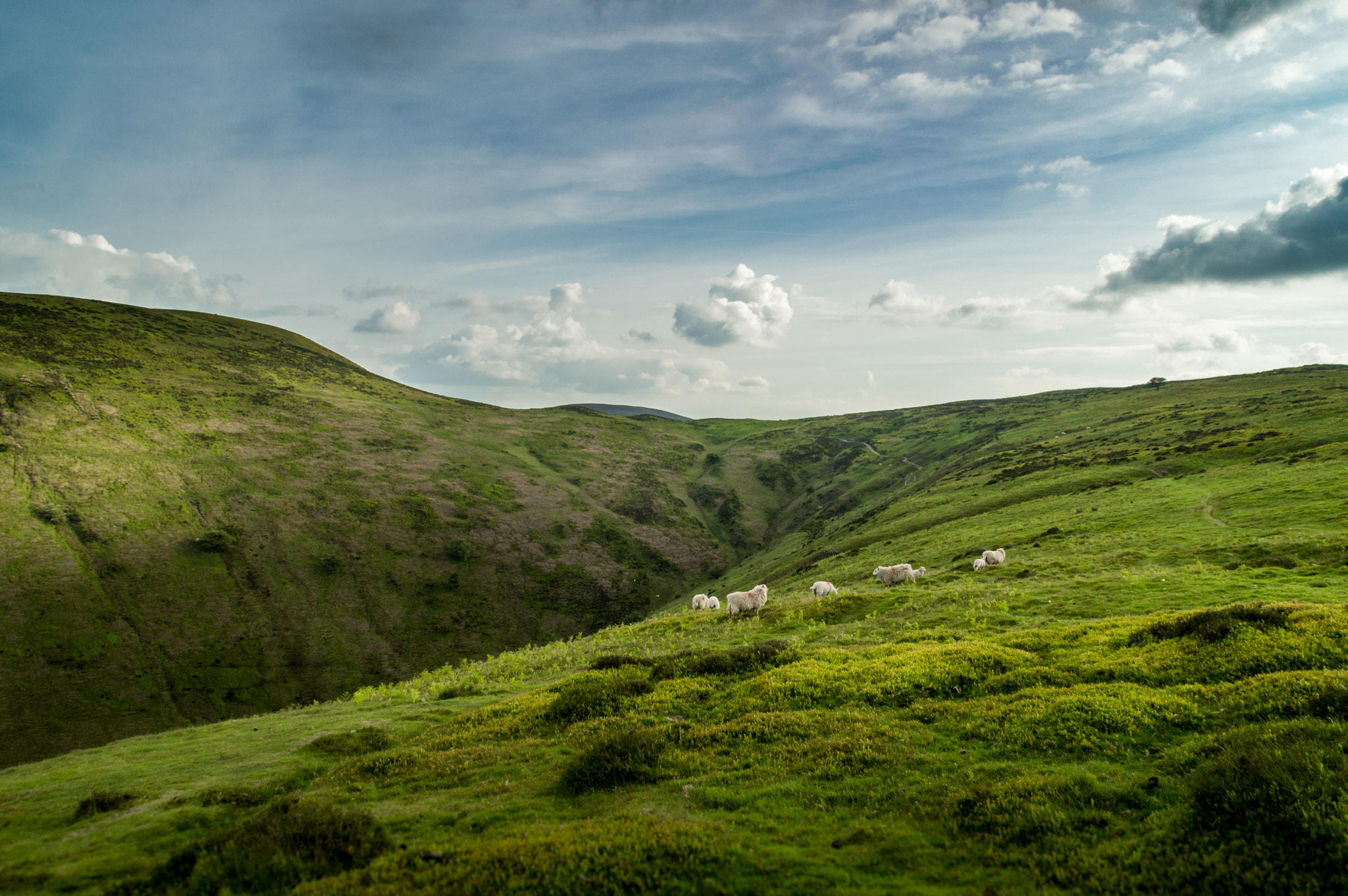 Nikon D3200 sample photo. Church stretton photography