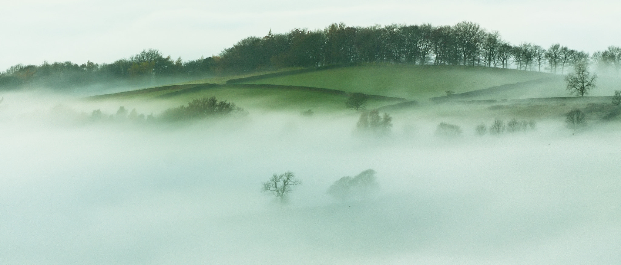 Sony SLT-A37 + Sigma 70-300mm F4-5.6 DL Macro sample photo. Mist photography