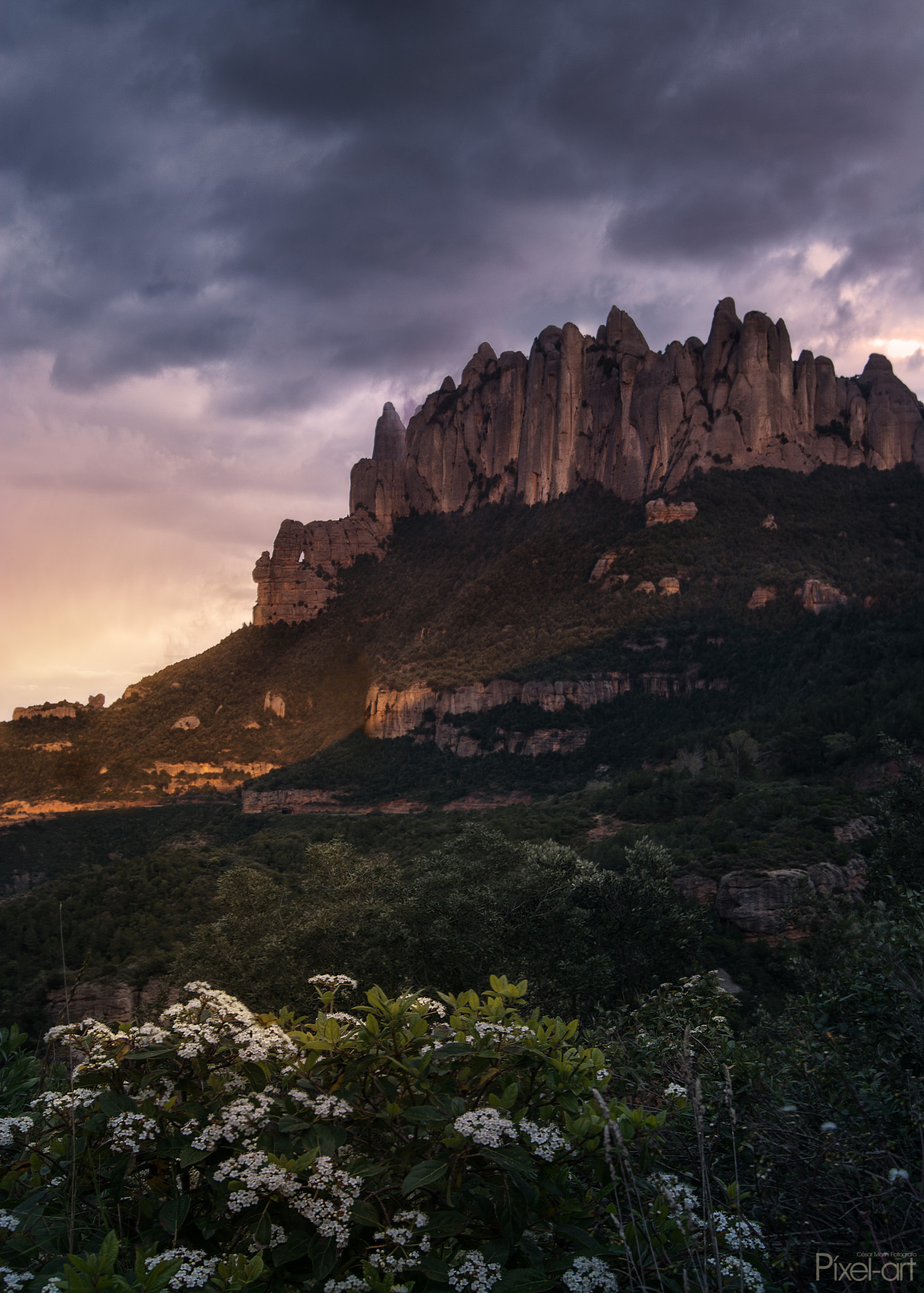 Nikon D7100 sample photo. Monserrat tormenta photography
