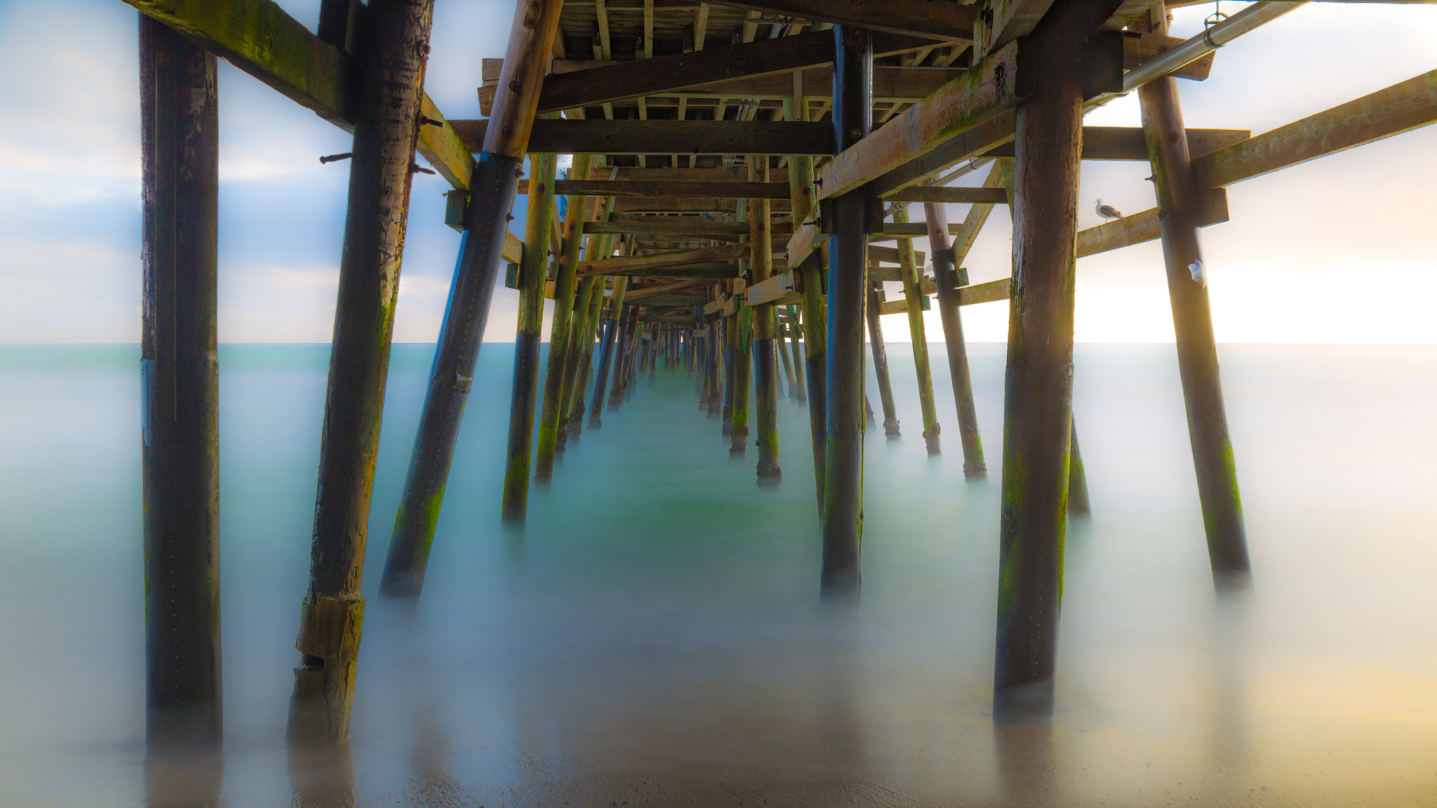 Canon EOS 6D + Sigma 24-70mm F2.8 EX DG Macro sample photo. Surreal photography