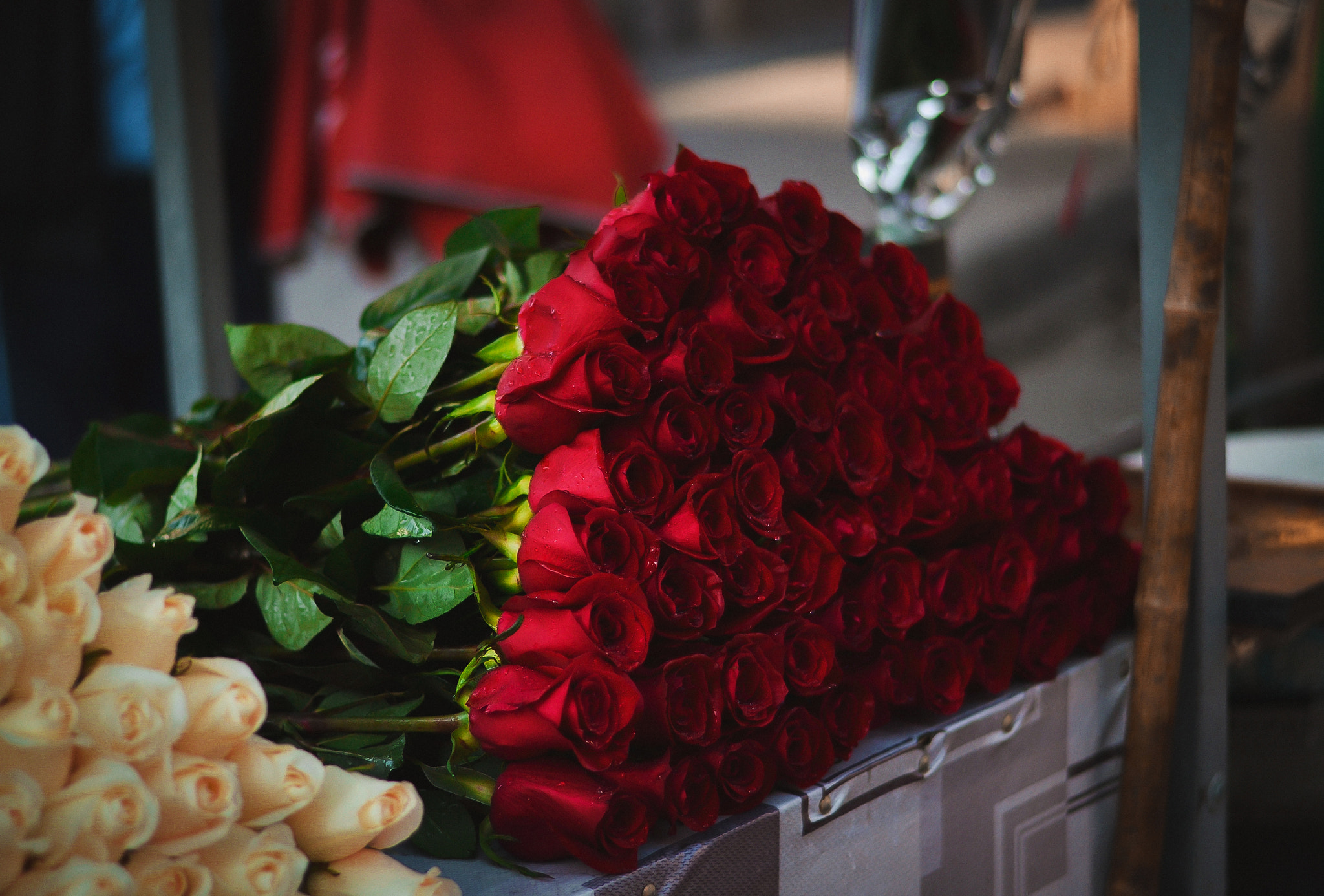 Nikon D3100 + Nikon AF-S Nikkor 50mm F1.8G sample photo. Red roses photography