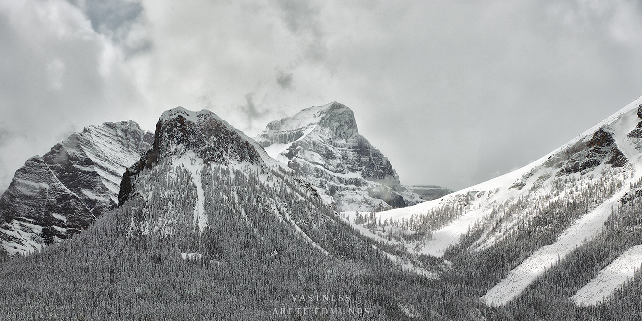 Phase One IQ260 + Schneider LS 150mm f/3.5 sample photo. V a s t n e s s - kananaskis ab photography