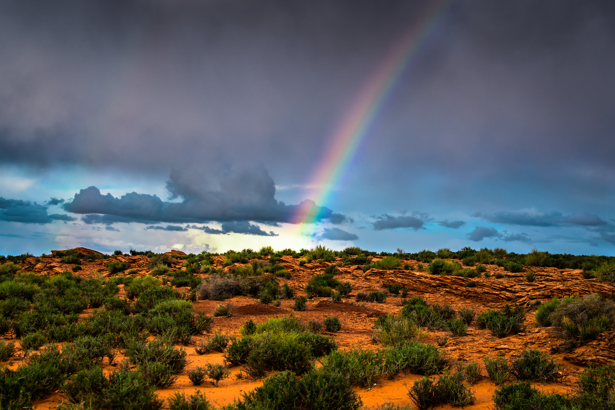 Nikon AF-S DX Nikkor 35mm F1.8G sample photo. Arizona rain photography