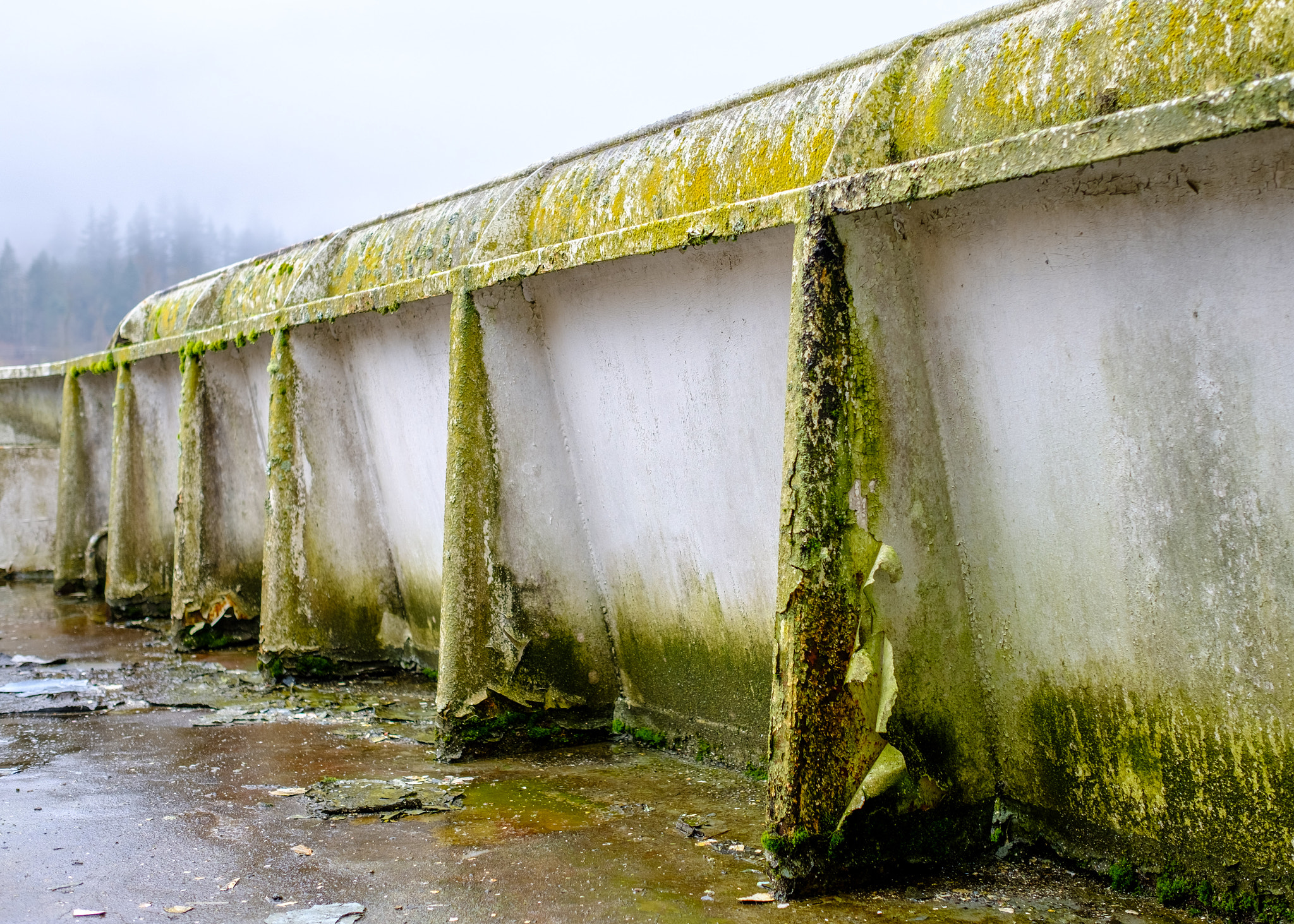 Fujifilm XF 23mm F1.4 R sample photo. Decay photography