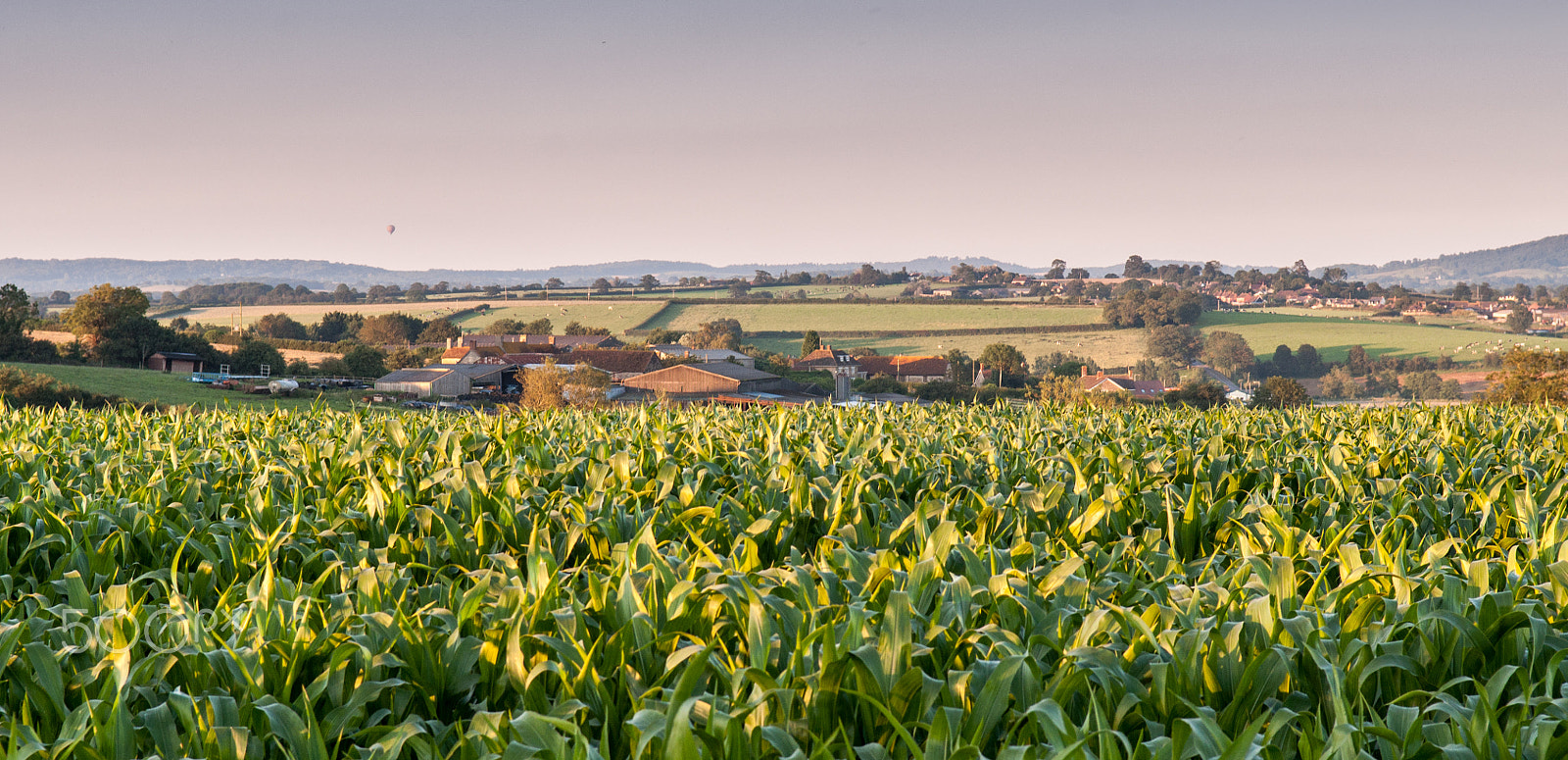 Nikon D90 sample photo. Dorset landscape photography