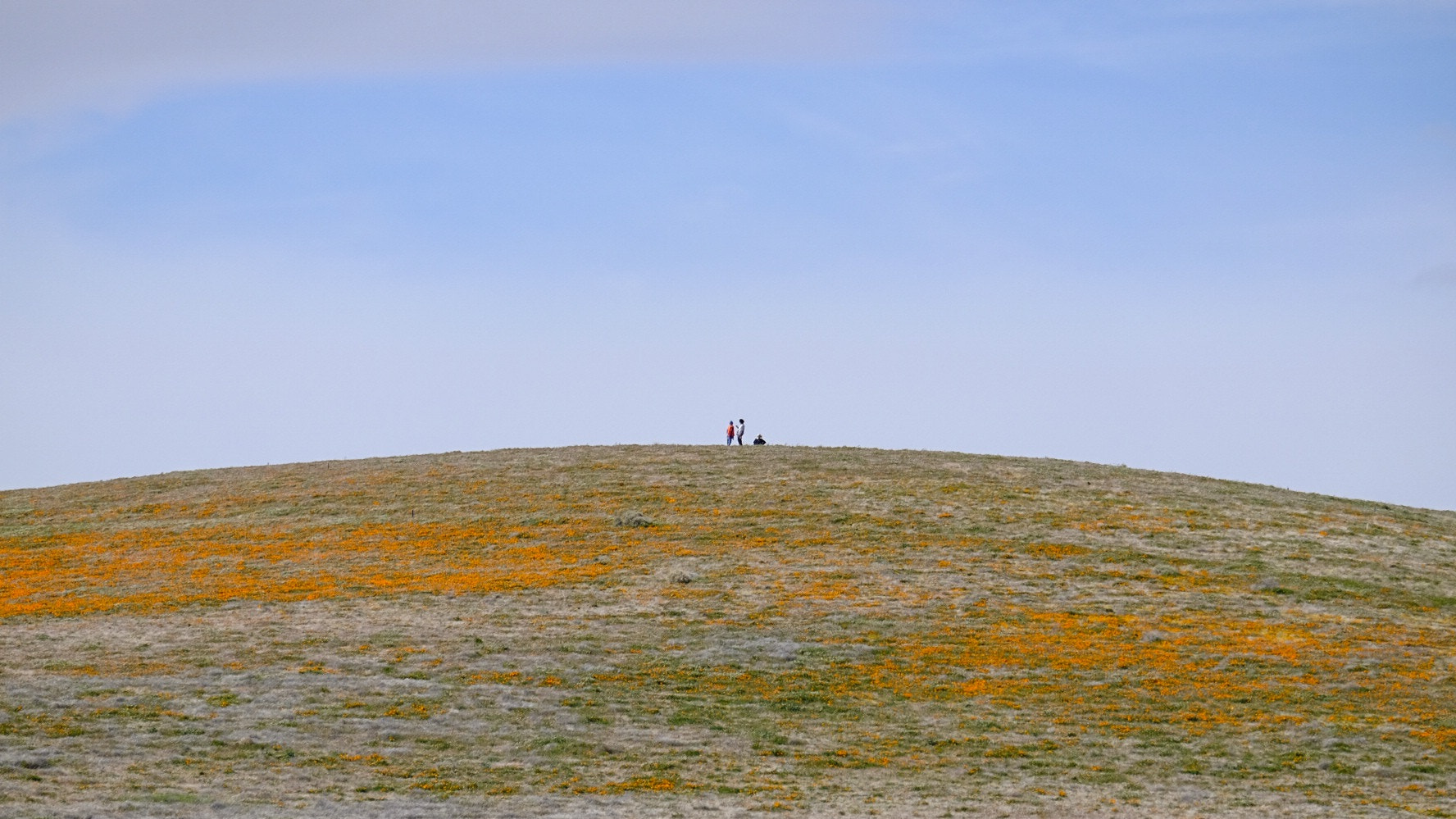 Fujifilm X-T1 + Fujifilm XC 50-230mm F4.5-6.7 OIS II sample photo. The earth is not flat photography