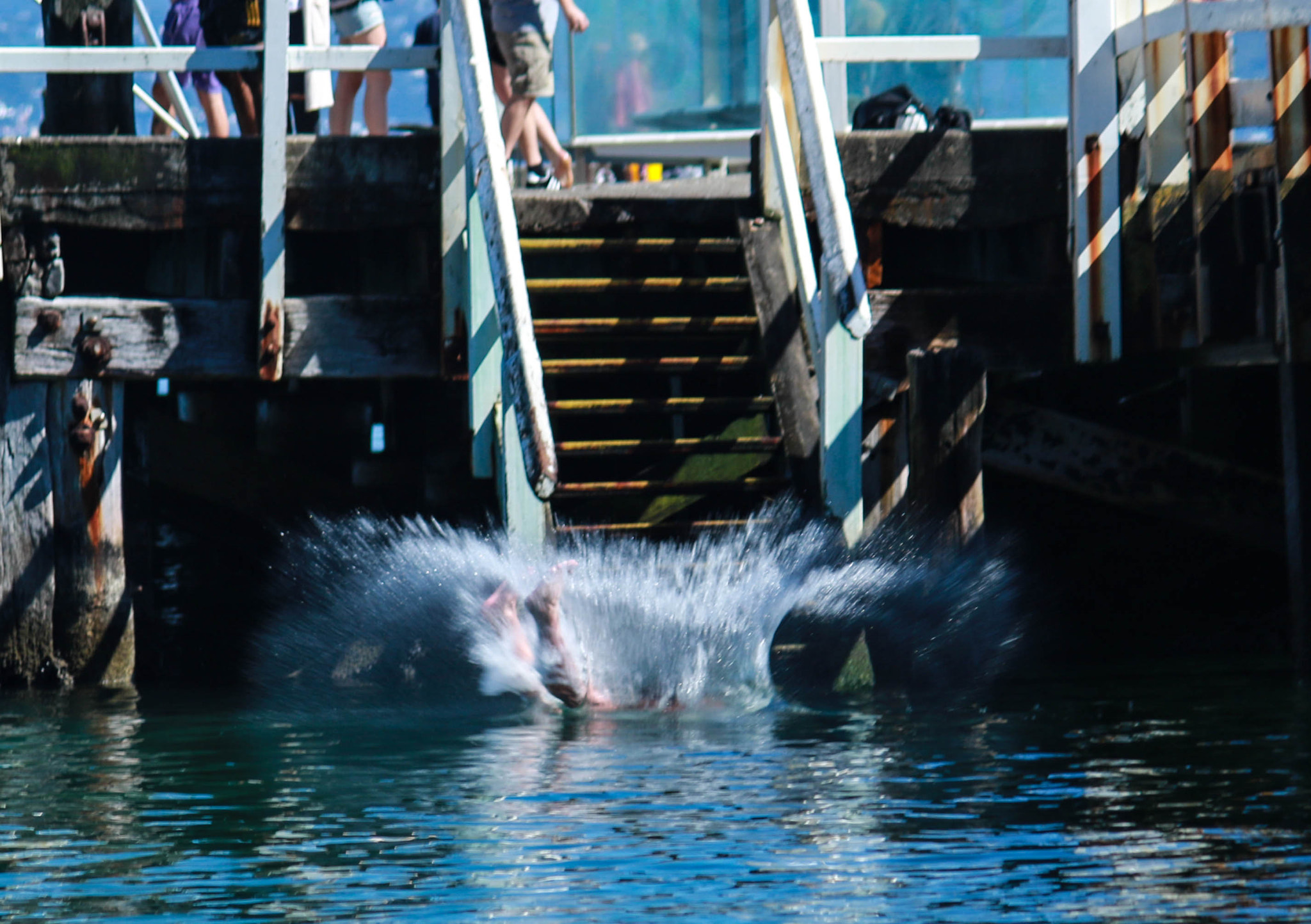 Canon EF-S 55-250mm F4-5.6 IS II sample photo. Bombing photography