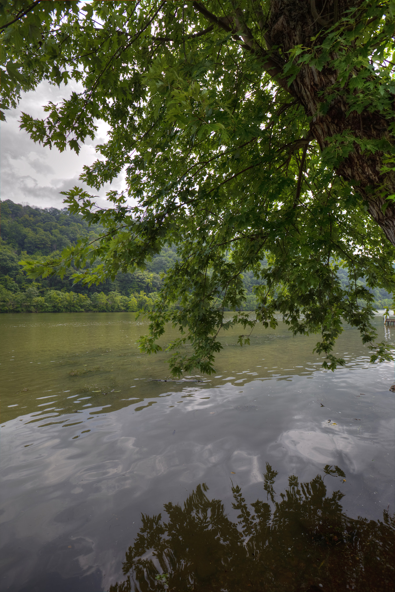 Canon EF 16-35mm F2.8L II USM sample photo. Calm river photography