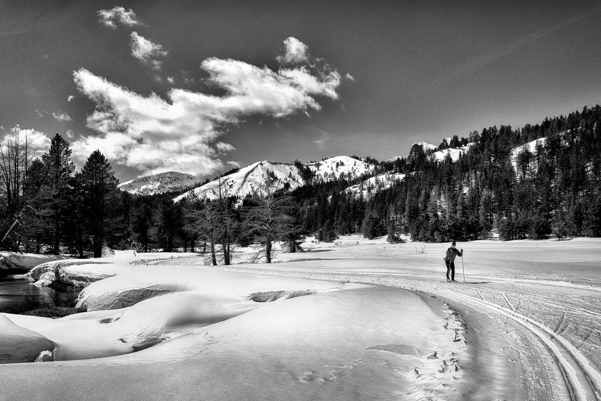 Sony Cyber-shot DSC-RX1 + 35mm F2.0 sample photo. Last skier photography