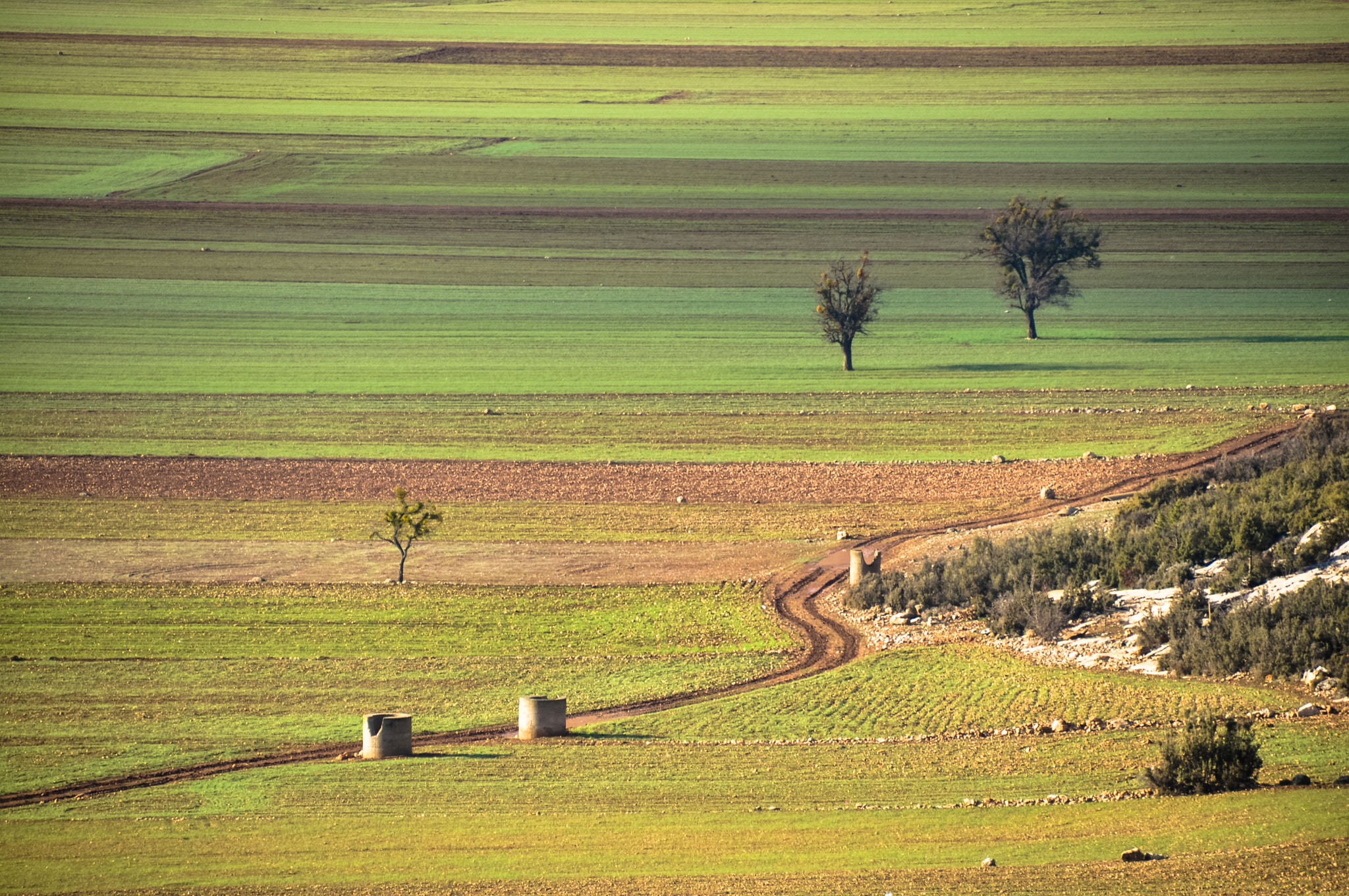 Nikon D90 sample photo. Colorfields photography