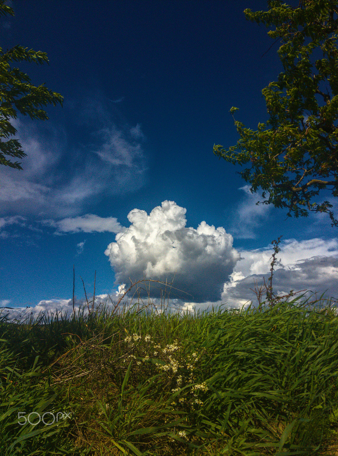 OnePlus One A0001 sample photo. Cloudescape photography