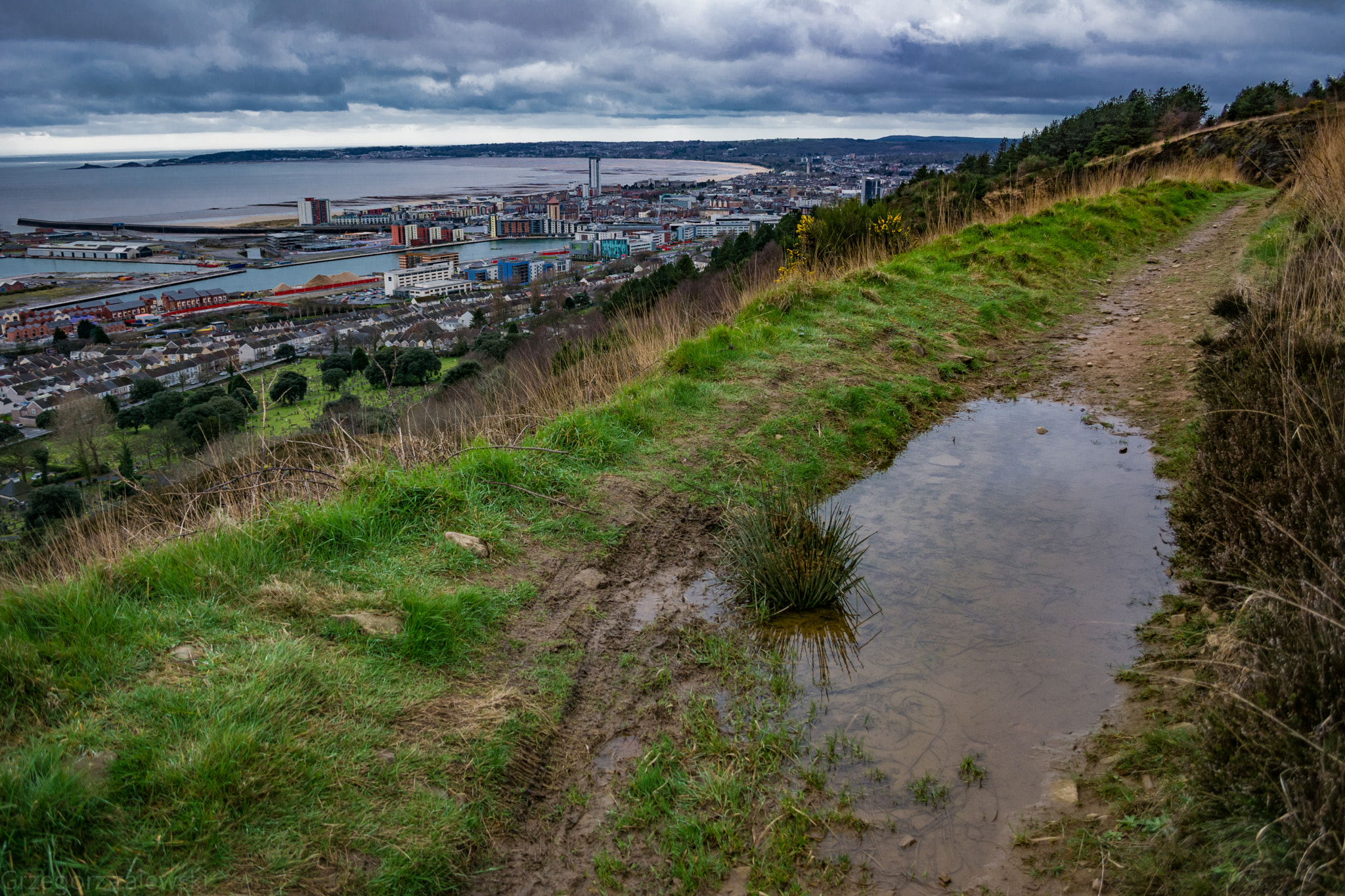 Nikon D7100 sample photo. Grz photography