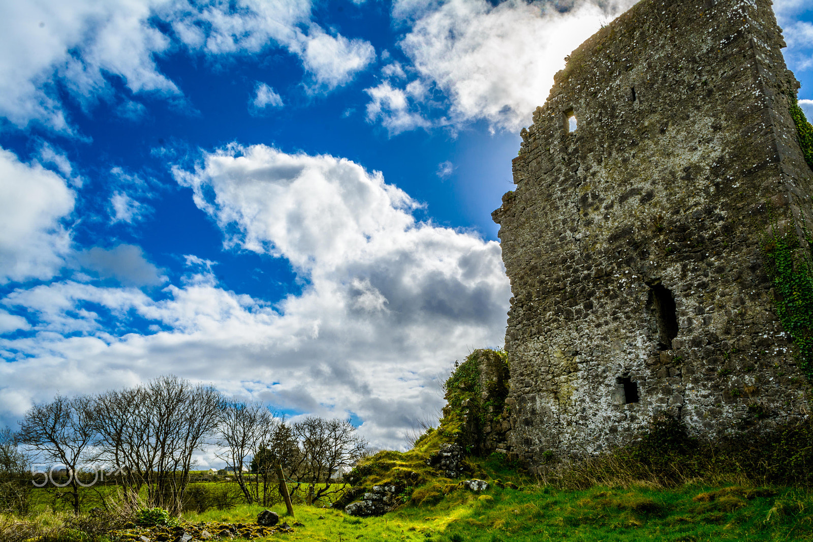 Nikon D7100 sample photo. Kiltartan castle photography