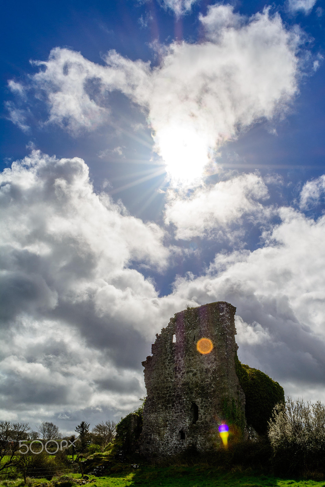 Nikon D7100 sample photo. Kiltartan castle photography