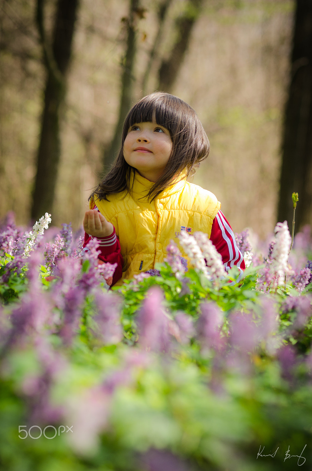 Nikon D7000 sample photo. Zojka in the woods photography