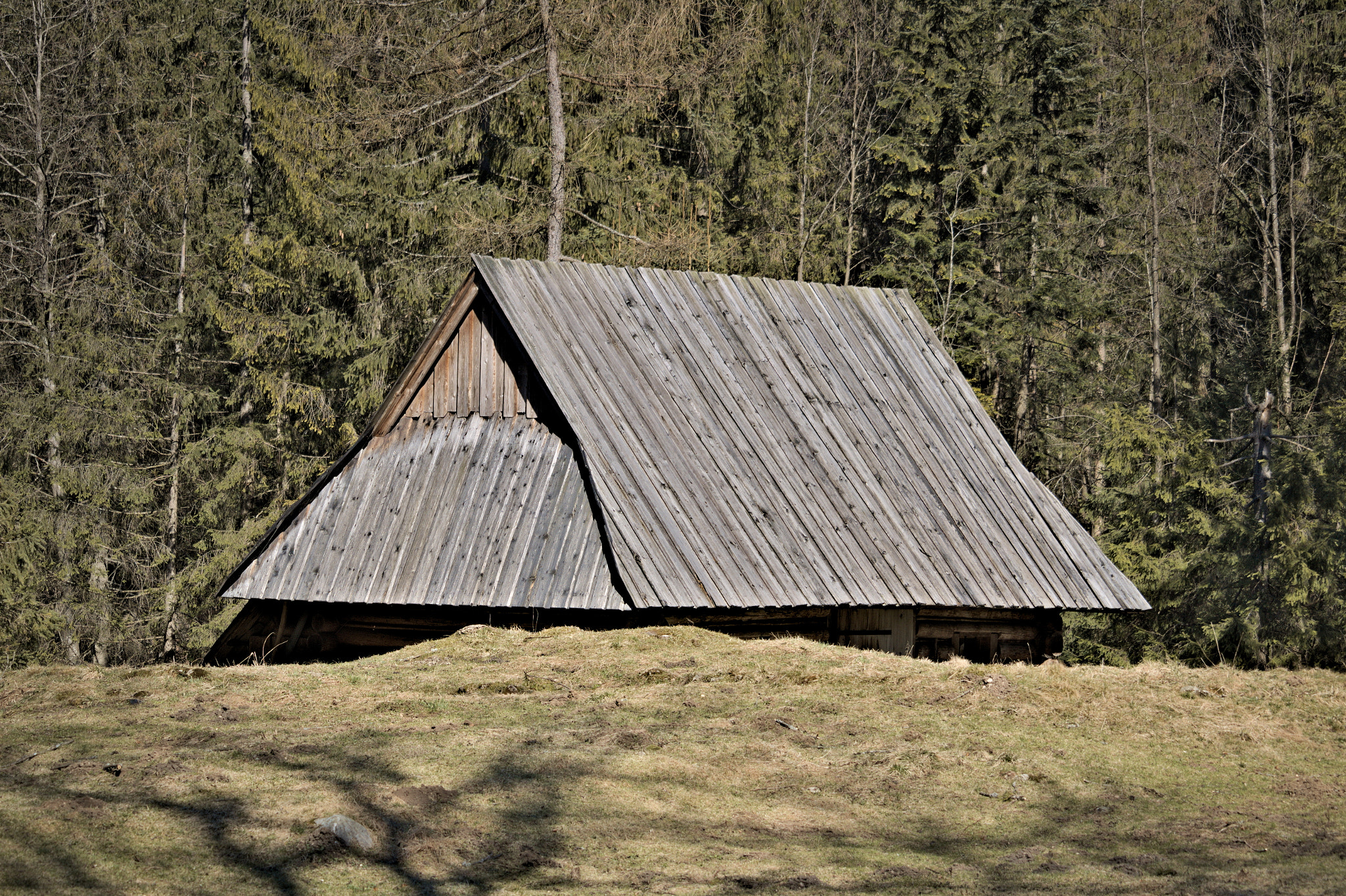 Canon EF-S 55-250mm F4-5.6 IS STM sample photo. Kuźnice photography