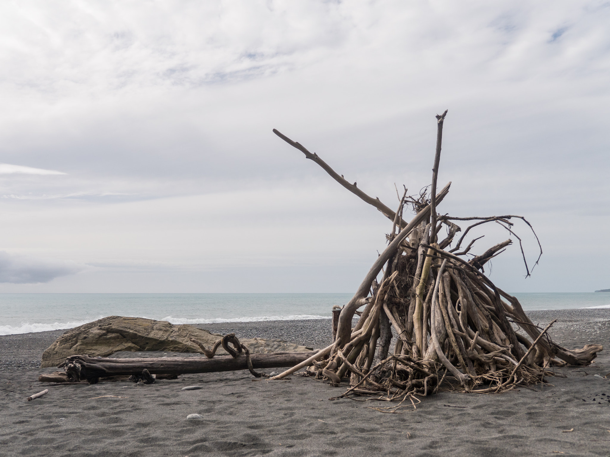 Panasonic Lumix DMC-GX8 sample photo. Driftwood photography