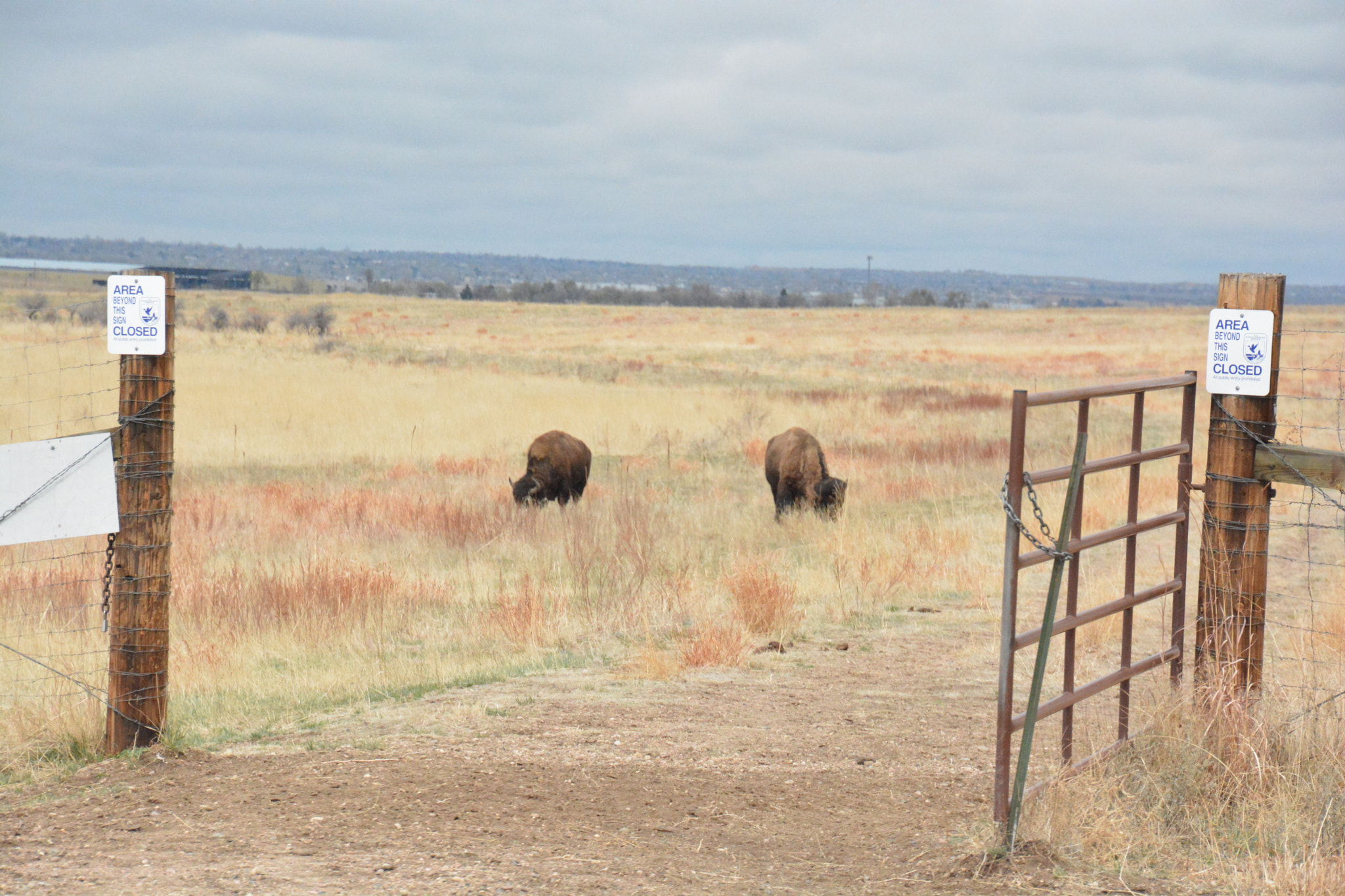 Nikon D7100 sample photo. Rocky mountain arsenal photography