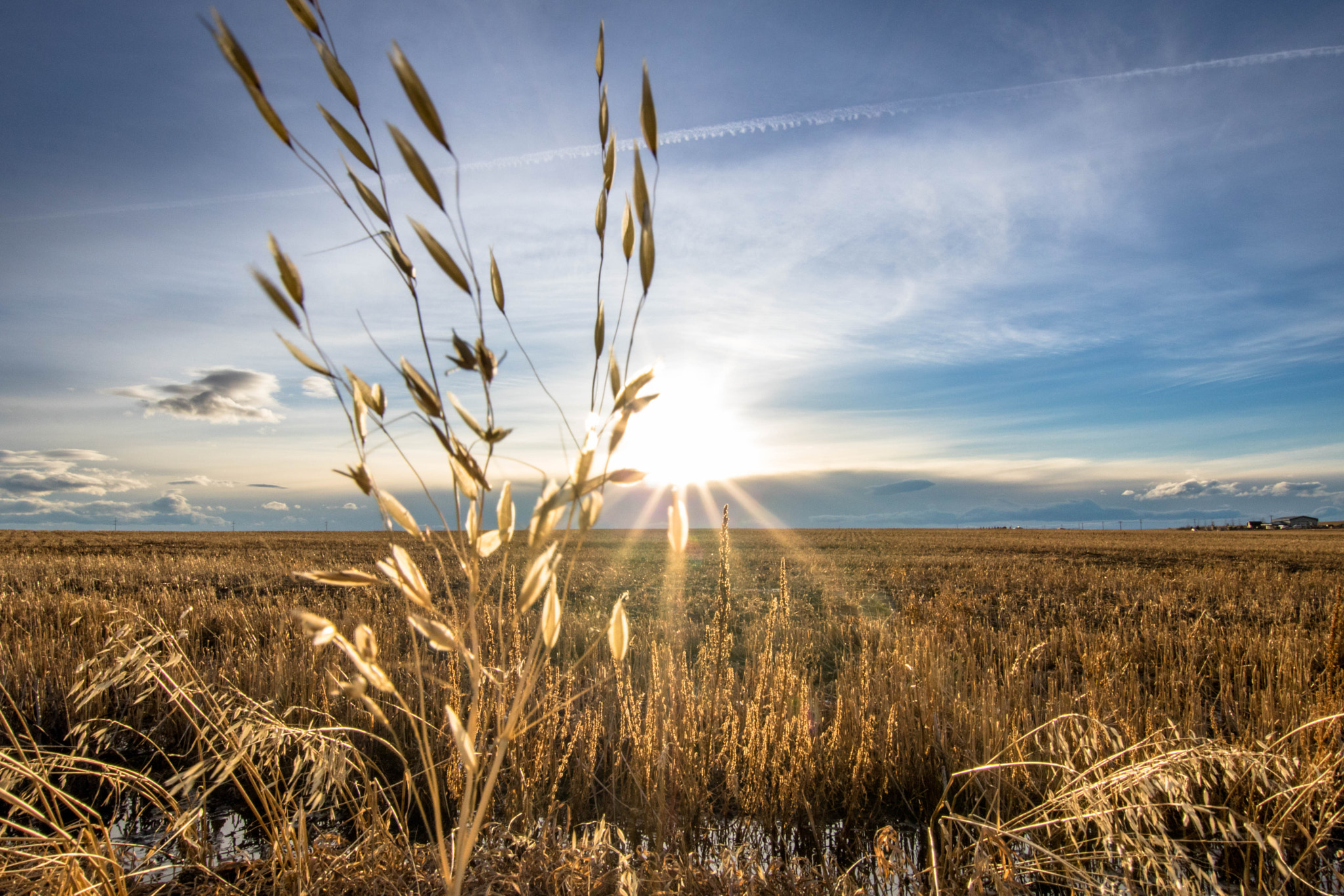 Sigma 10-20mm F3.5 EX DC HSM sample photo. Untitled photography
