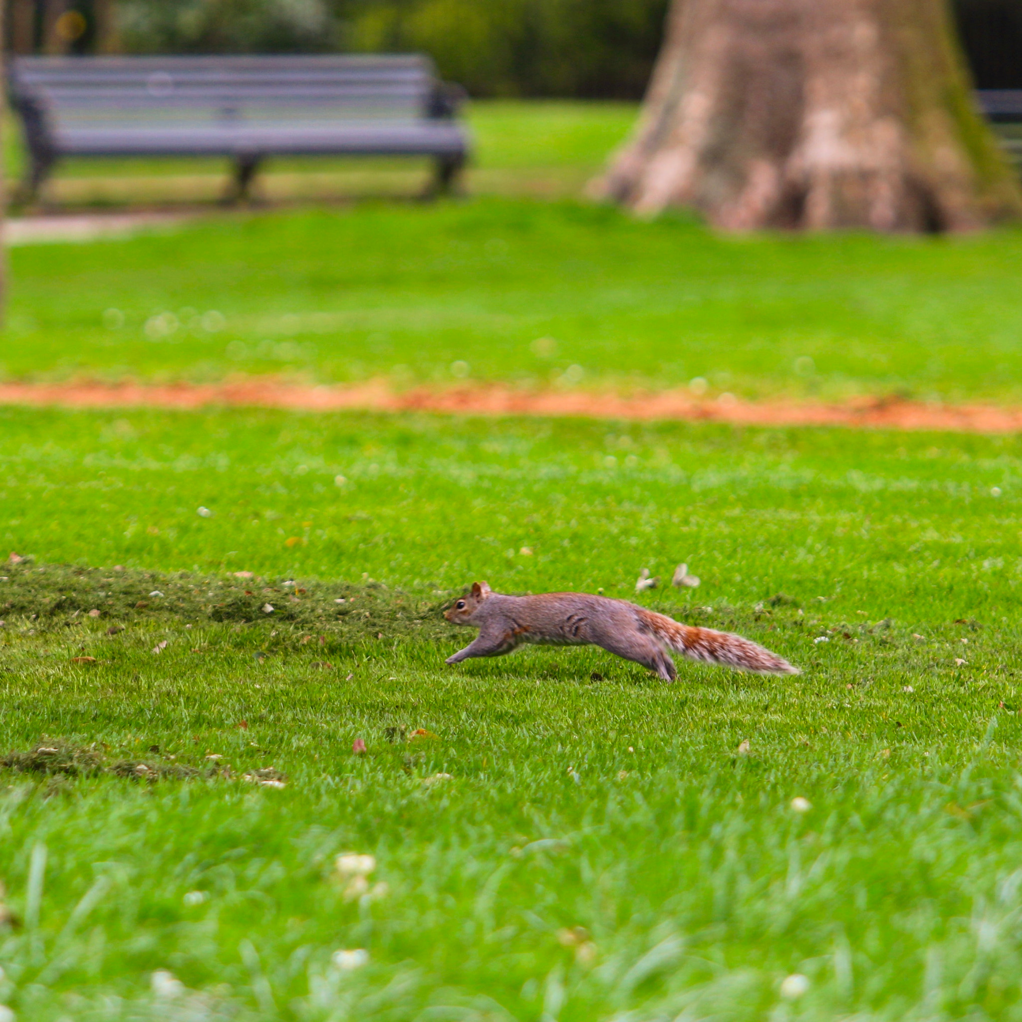 Canon EF 70-200mm F2.8L USM sample photo