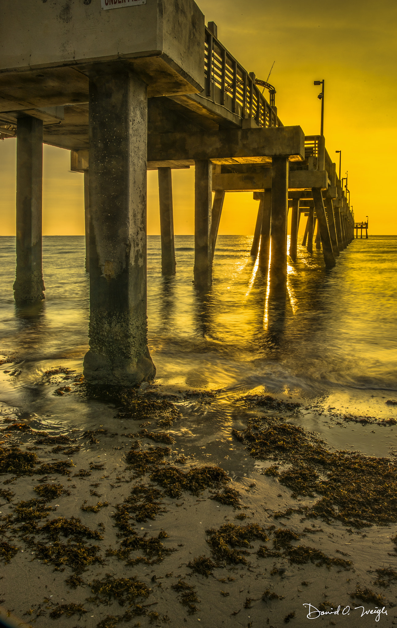 Nikon D810 sample photo. Dania beach pier sunrise photography