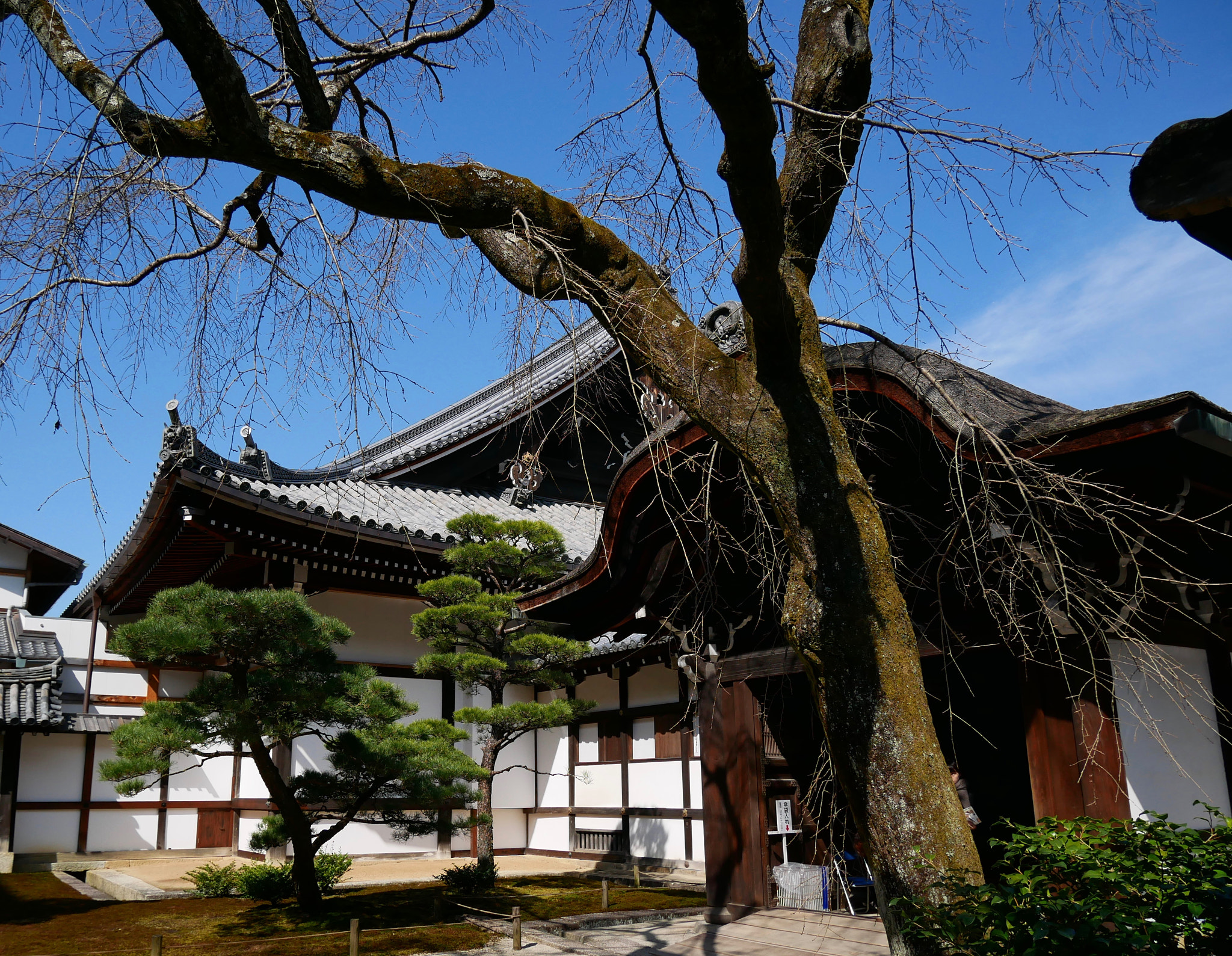 Panasonic Lumix DMC-GX85 (Lumix DMC-GX80 / Lumix DMC-GX7 Mark II) + Panasonic Lumix G Vario HD 12-32mm F3.5-5.6 Mega OIS sample photo. Trees in winter kyoto photography