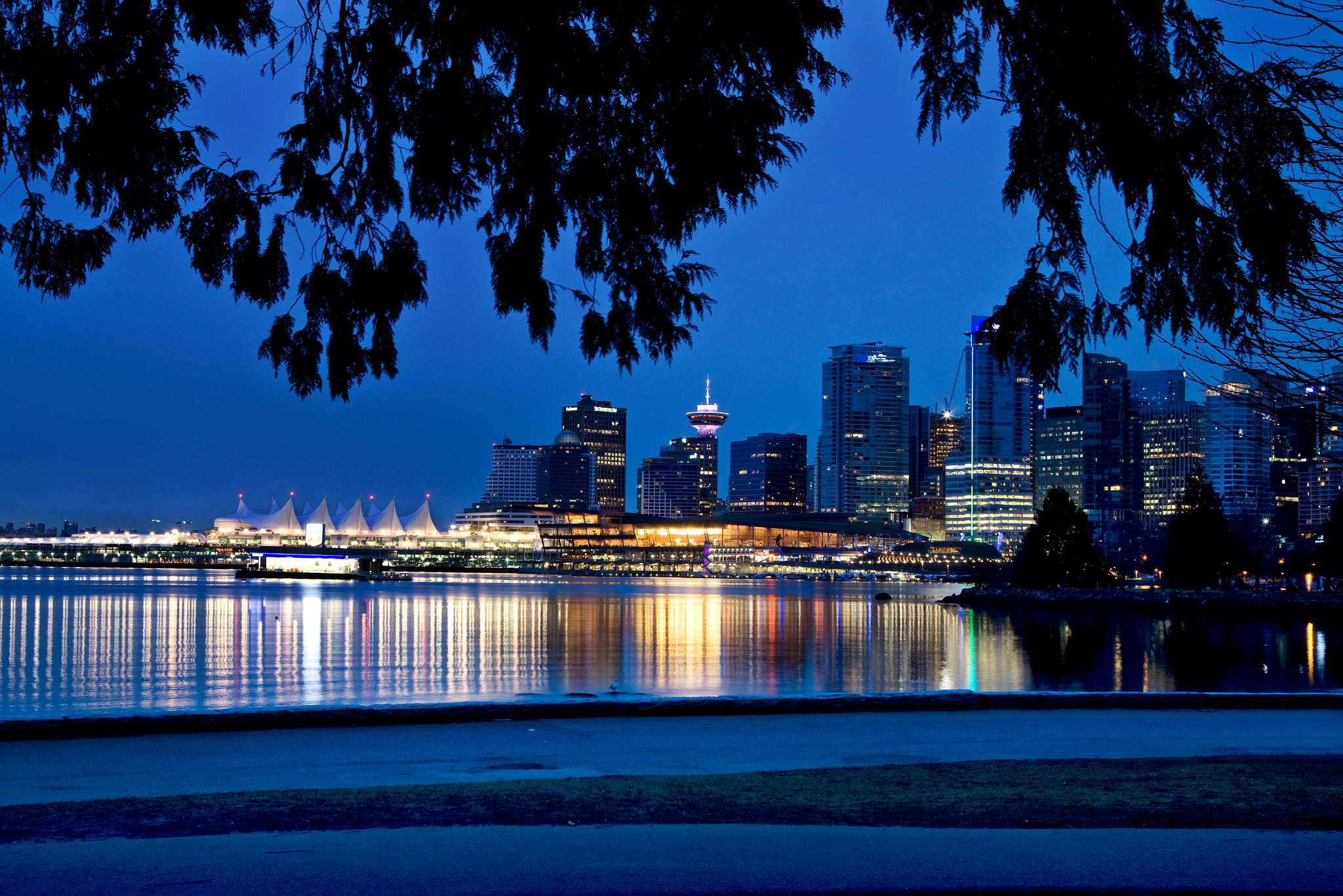 Canon EOS-1Ds Mark III sample photo. Vancouver night photography
