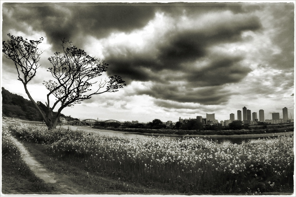Olympus TG-3 sample photo. Tama-river #2 photography
