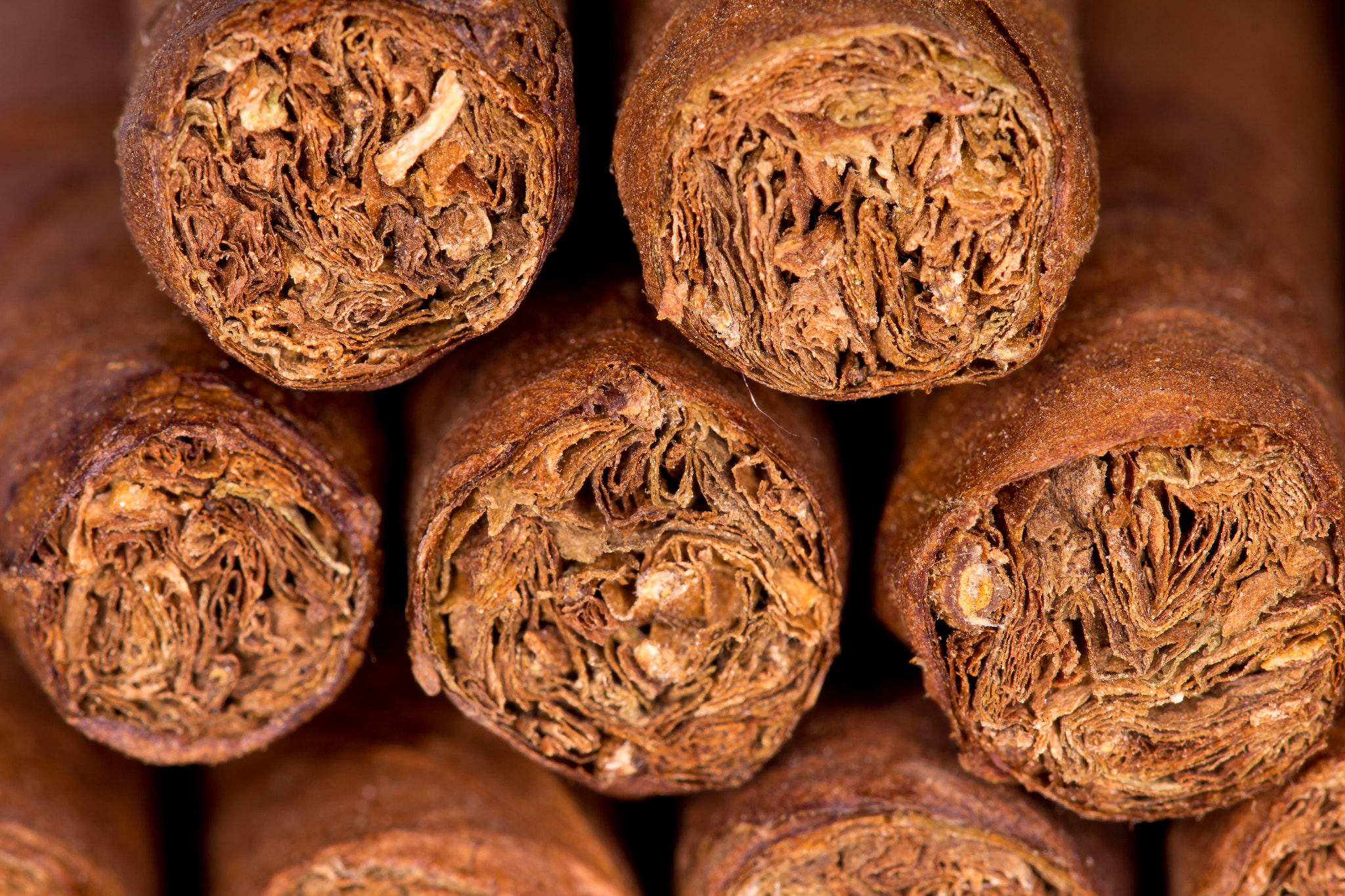 Canon EF 100mm F2.8L Macro IS USM sample photo. Cigarillos photography