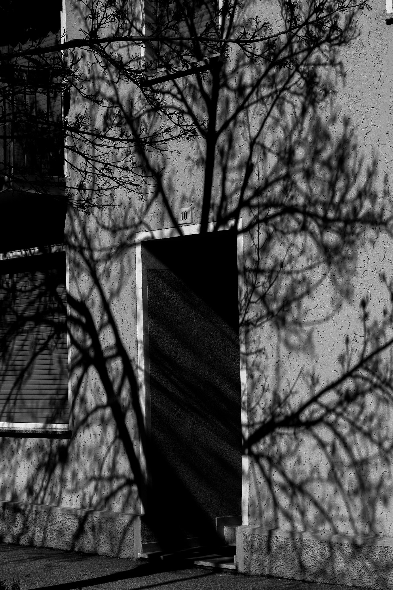 Canon EF-S 55-250mm F4-5.6 IS STM sample photo. That door into the tree photography