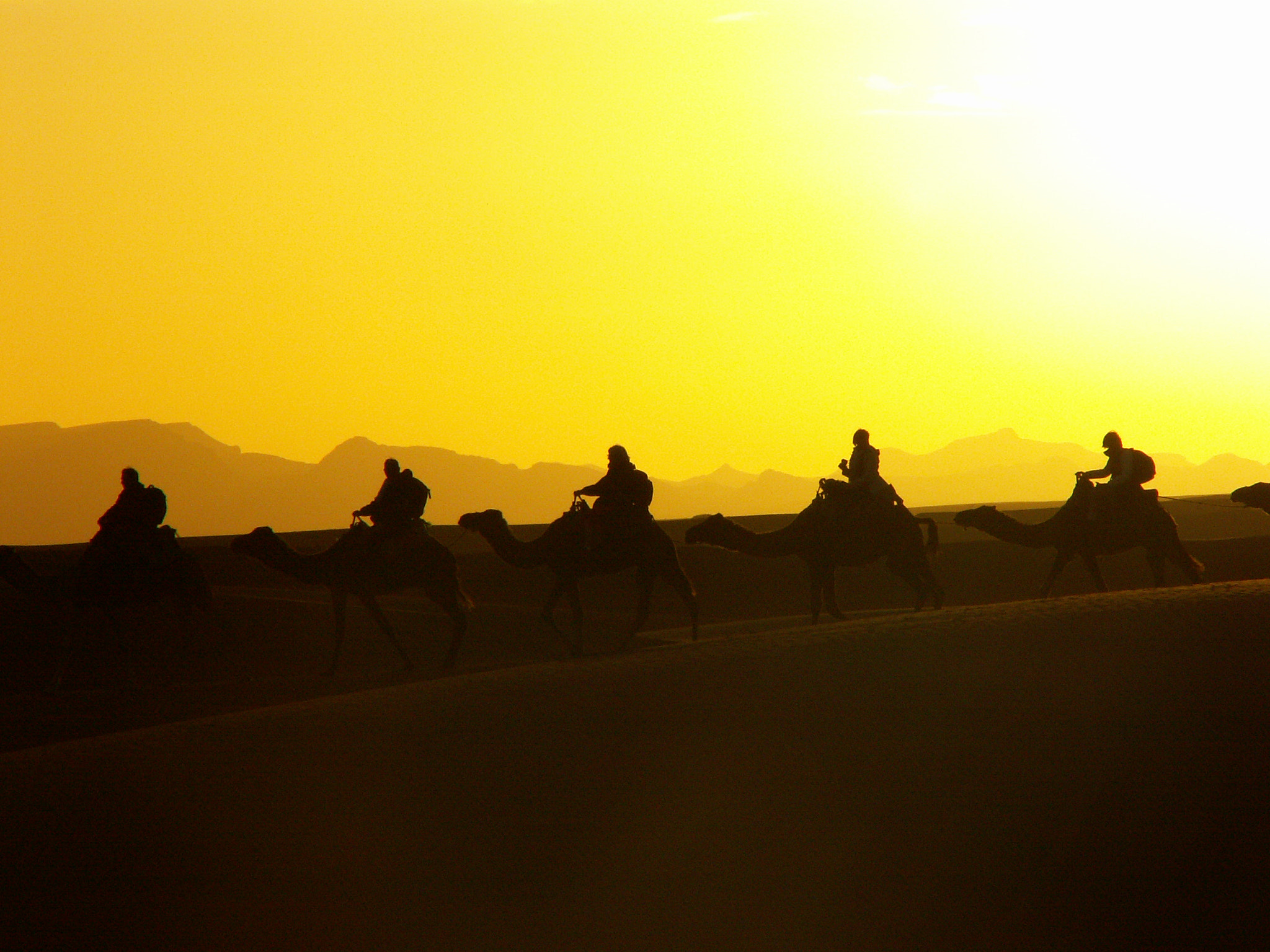 KONICA MINOLTA DiMAGE Z3 sample photo. Camel caravan heading in to the desert photography