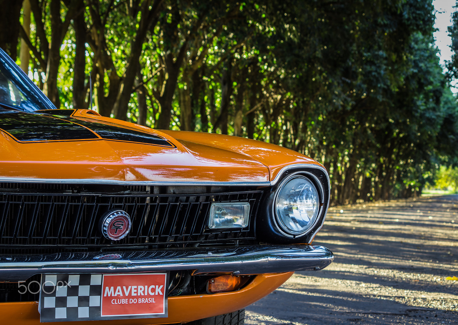 Canon EF-S 55-250mm F4-5.6 IS II sample photo. Maverick clube do brasil photography