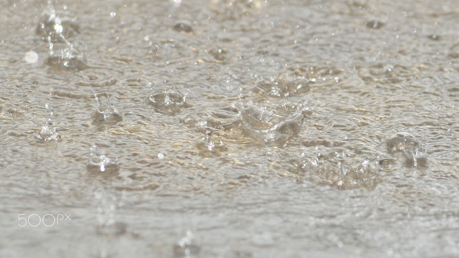 Nikon AF-Nikkor 80-200mm F2.8D ED sample photo. Rain photography