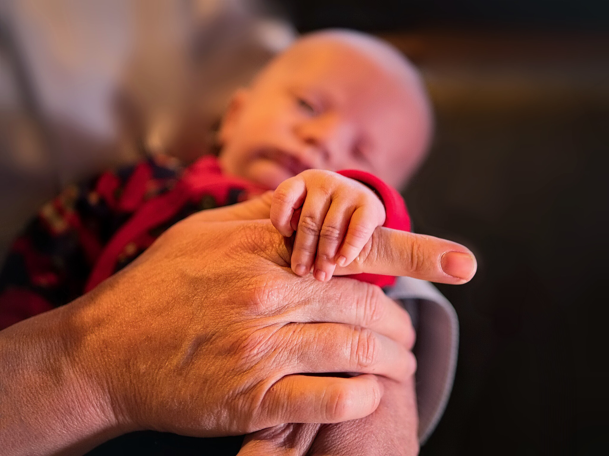 Panasonic Lumix DMC-GX8 + Panasonic Leica DG Summilux 25mm F1.4 II ASPH sample photo. One month old photography