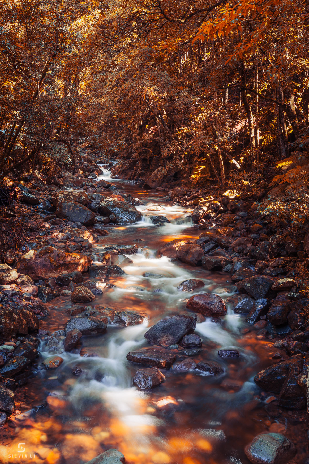 Canon EF 16-35mm F2.8L II USM sample photo. Stream of gold photography