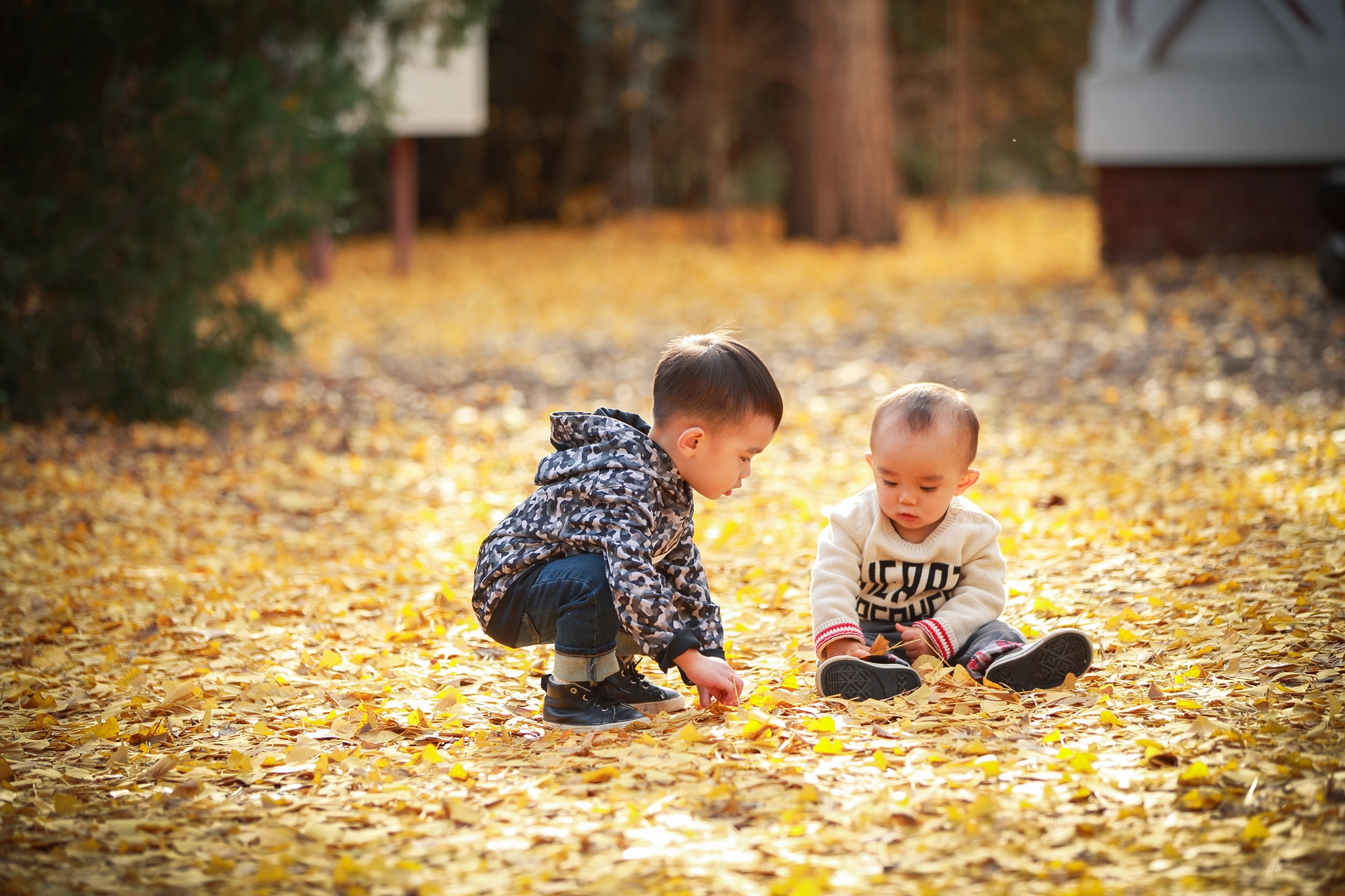 Canon EOS-1D X sample photo. 兄弟 photography