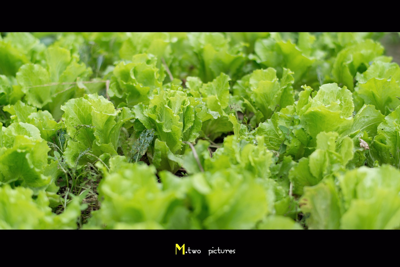 Nikon AF-S Nikkor 58mm F1.4G sample photo. 7-.jpg photography