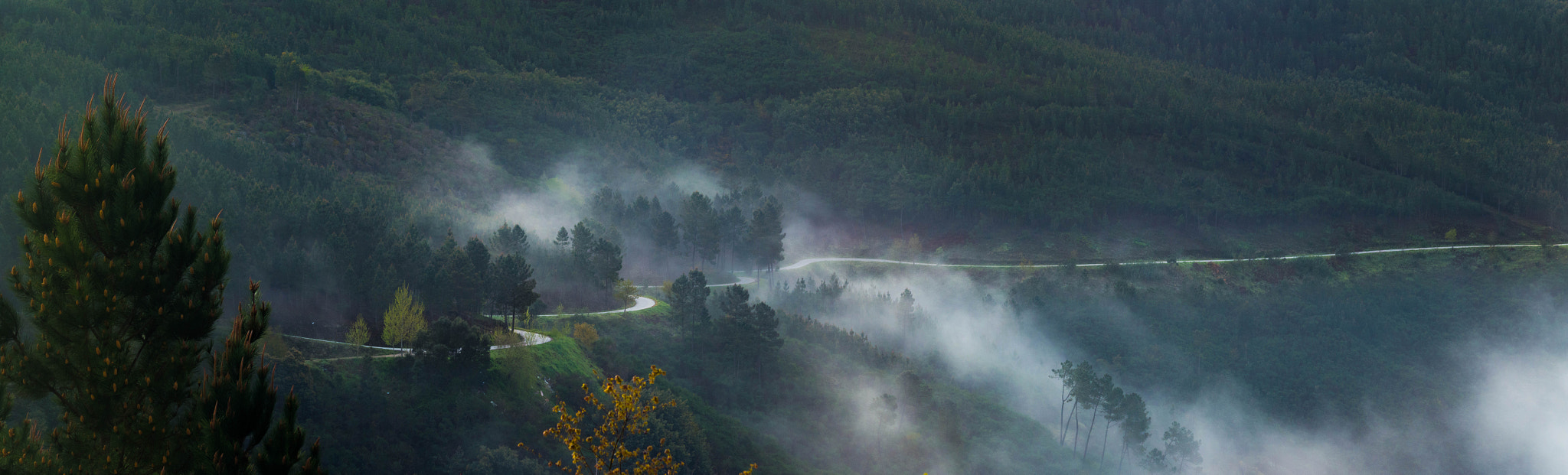 Pentax K-50 + Tamron AF 80-210mm F4-5.6 (178D) sample photo. The journey through the mist photography