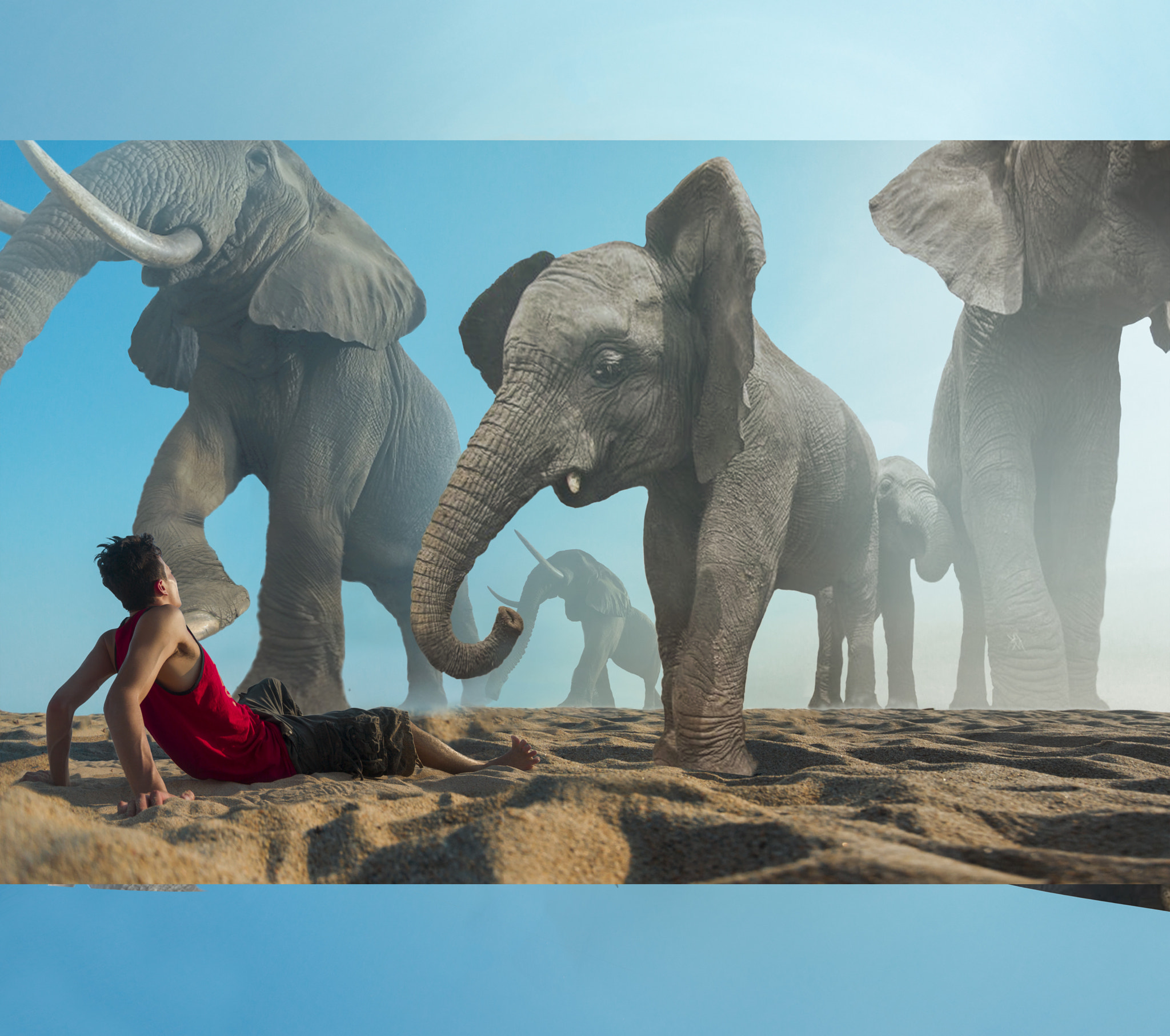 Canon EF-S 10-22mm F3.5-4.5 USM sample photo. Elephants (flat version) photography