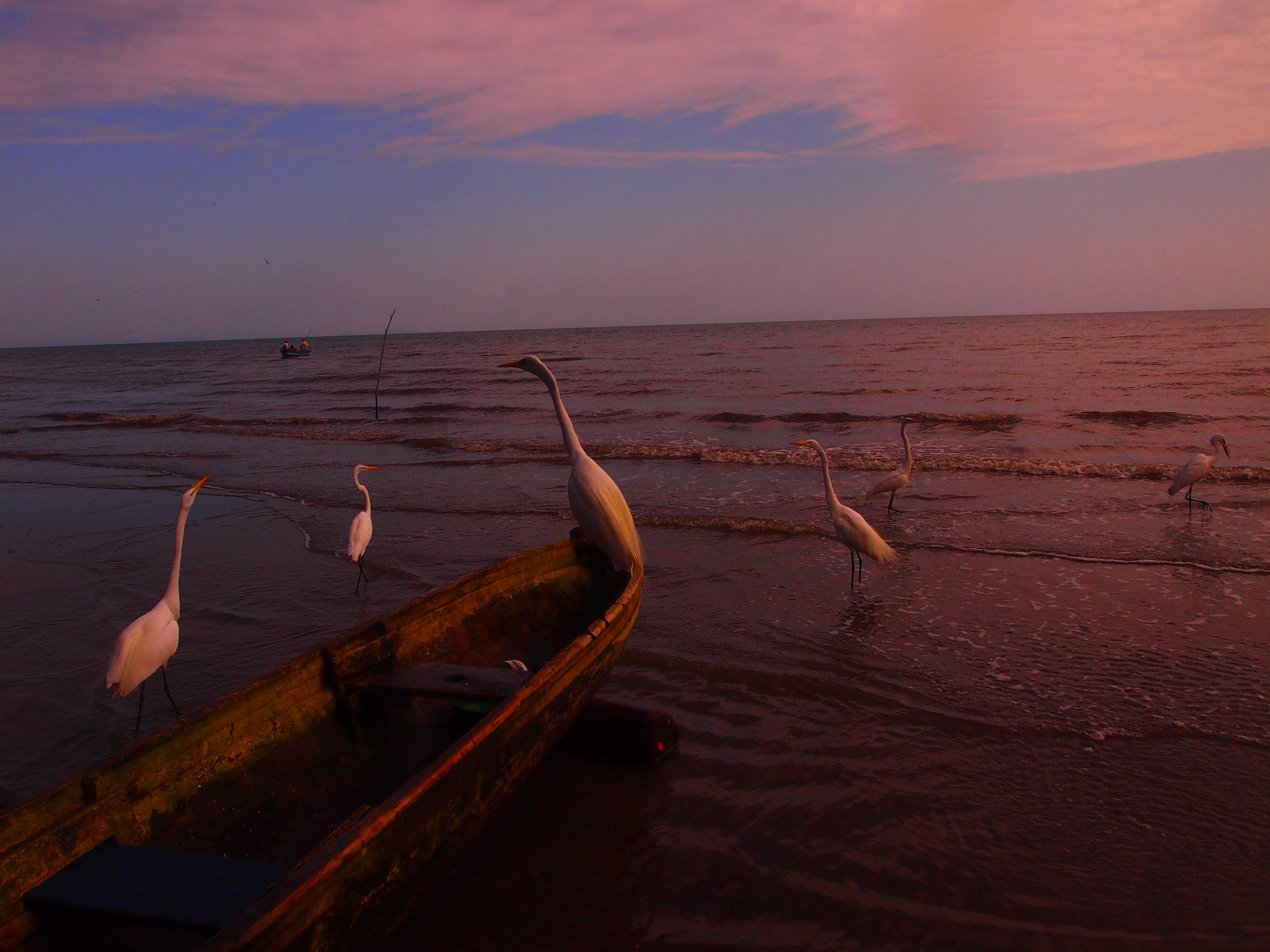 Olympus PEN E-PM1 sample photo. Livingston at sunset photography