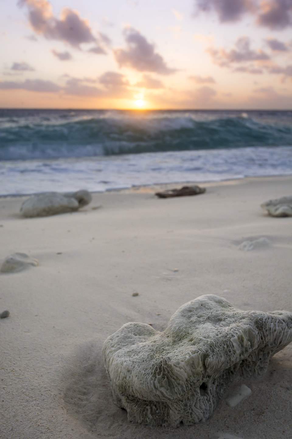 Nikon D7100 sample photo. Washed up photography