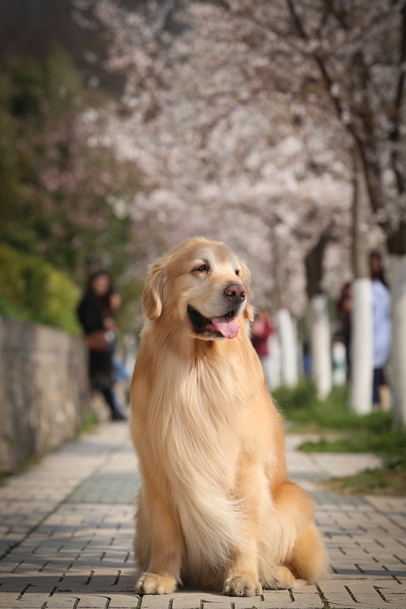 Canon EF 70-200mm F2.8L USM sample photo
