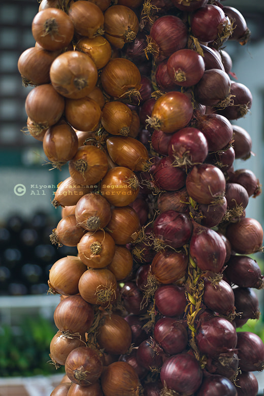 Nikon D800 + Nikon AF-S Nikkor 50mm F1.8G sample photo. Bunch of onion photography